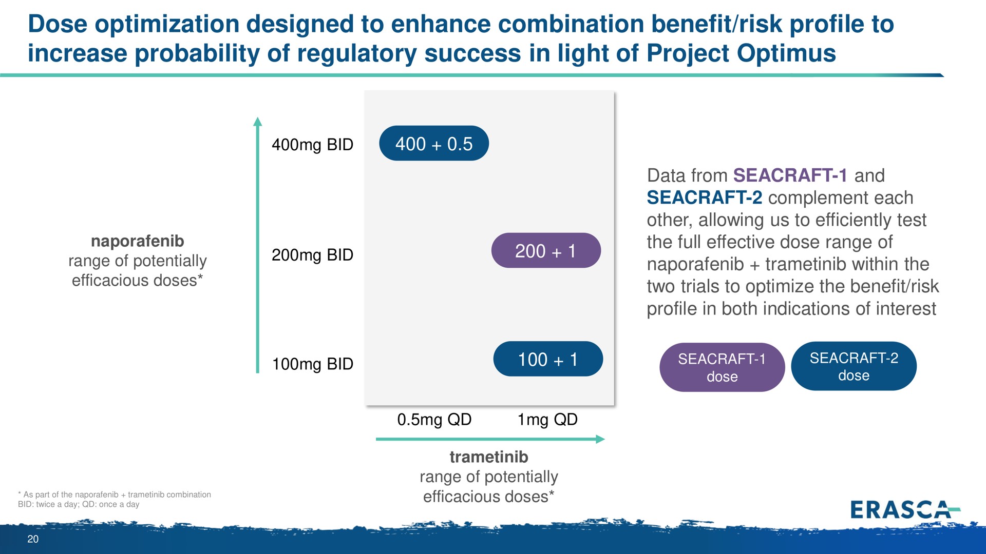 dose optimization designed to enhance combination benefit risk profile to increase probability of regulatory success in light of project | Erasca