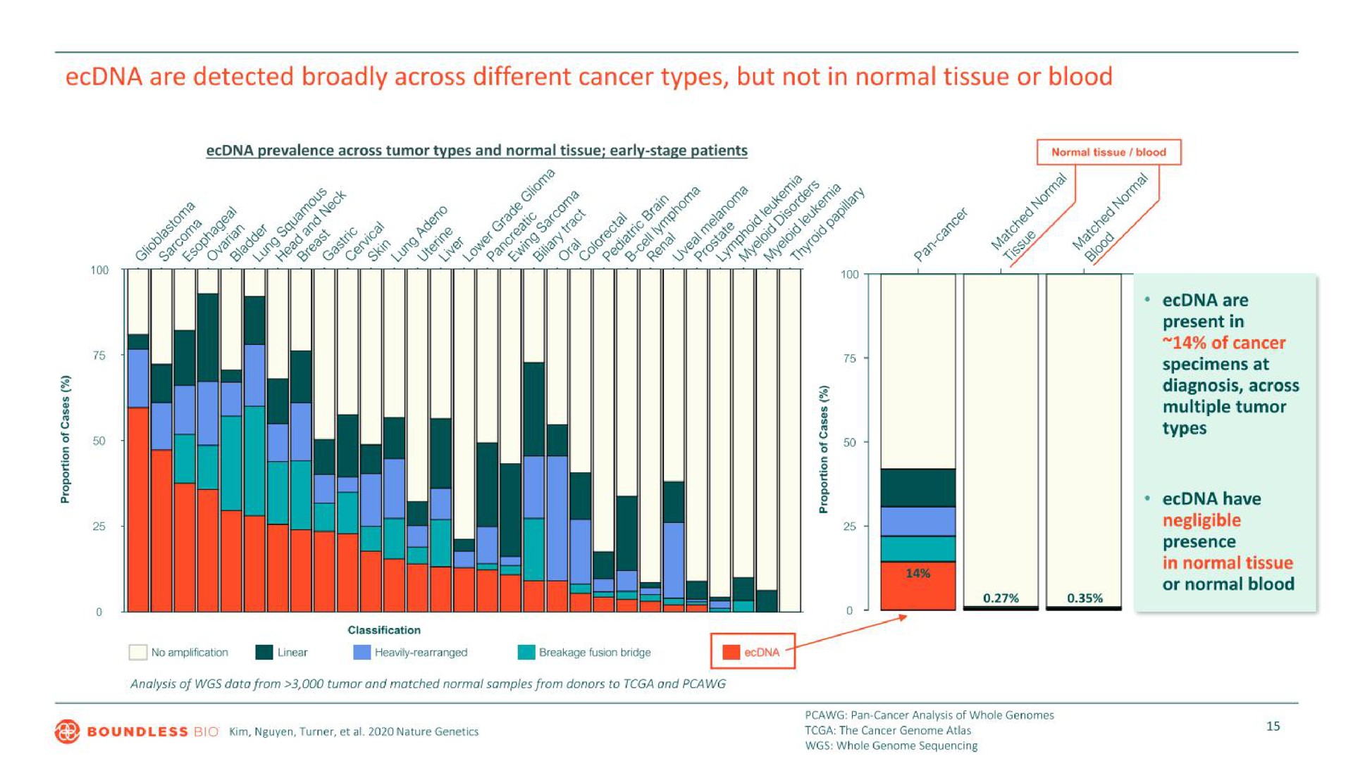 are detected broadly across different cancer types but not in normal tissue or blood | Boundless Bio
