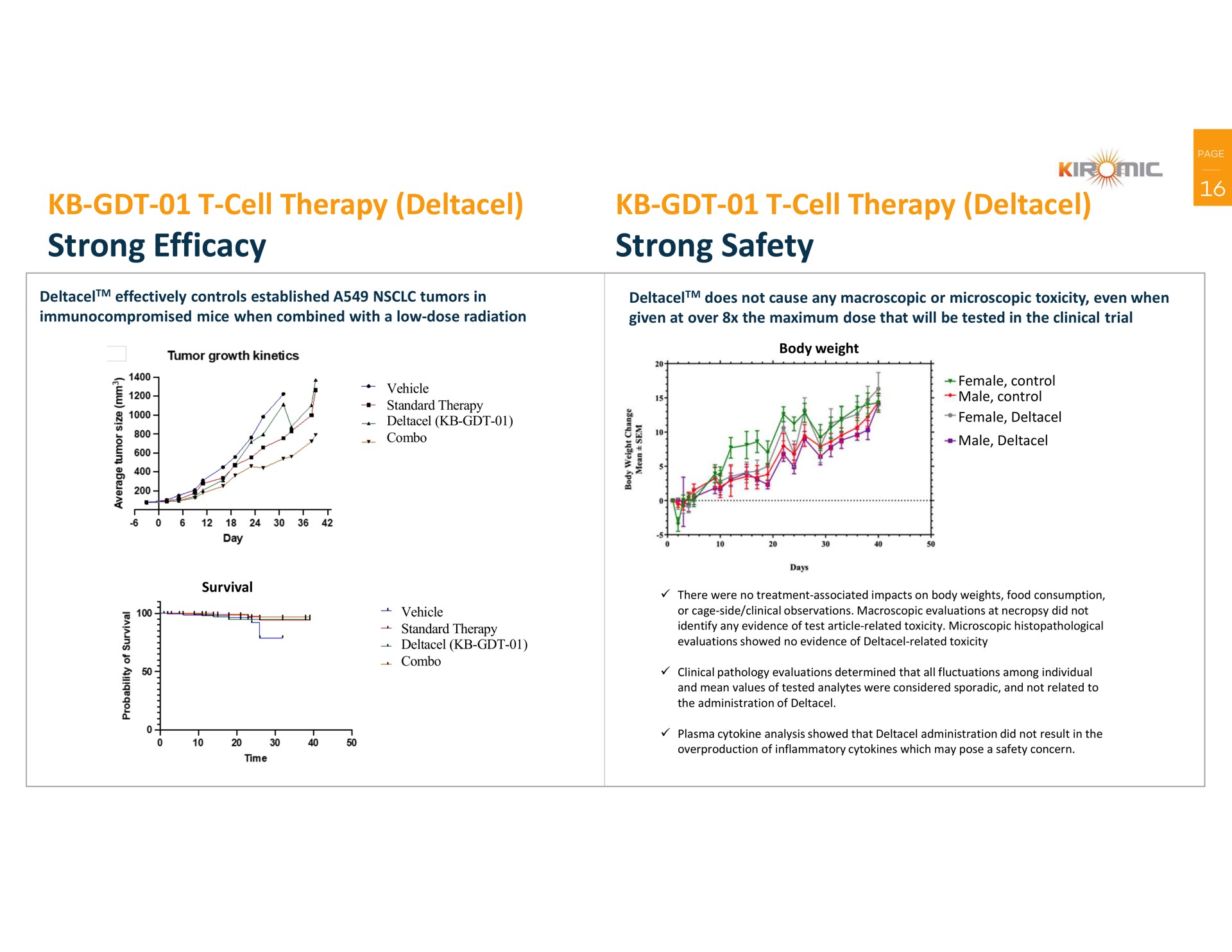 cell therapy strong efficacy cell therapy strong safety | Kiromic BioPharma