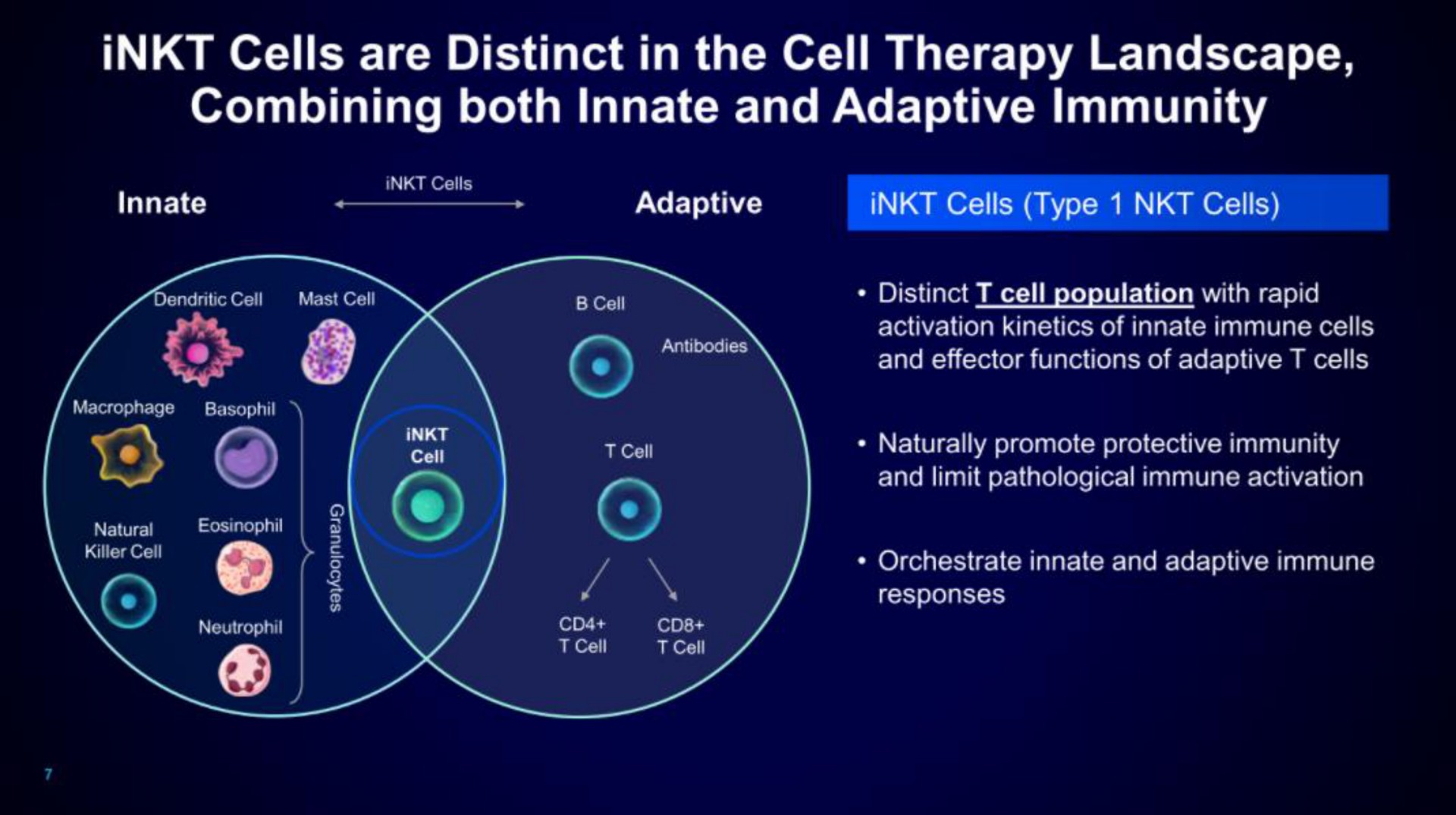 cells are distinct in the cell therapy landscape combining both innate and adaptive immunity | Mink Therapeutics