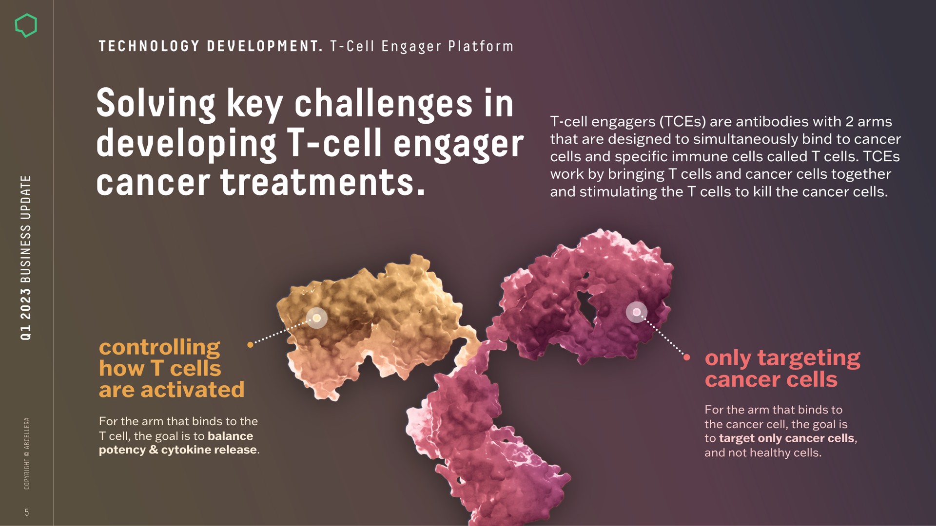 solving key challenges in developing cell engager cancer treatments controlling how cells are activated only targeting cancer cells ona | AbCellera