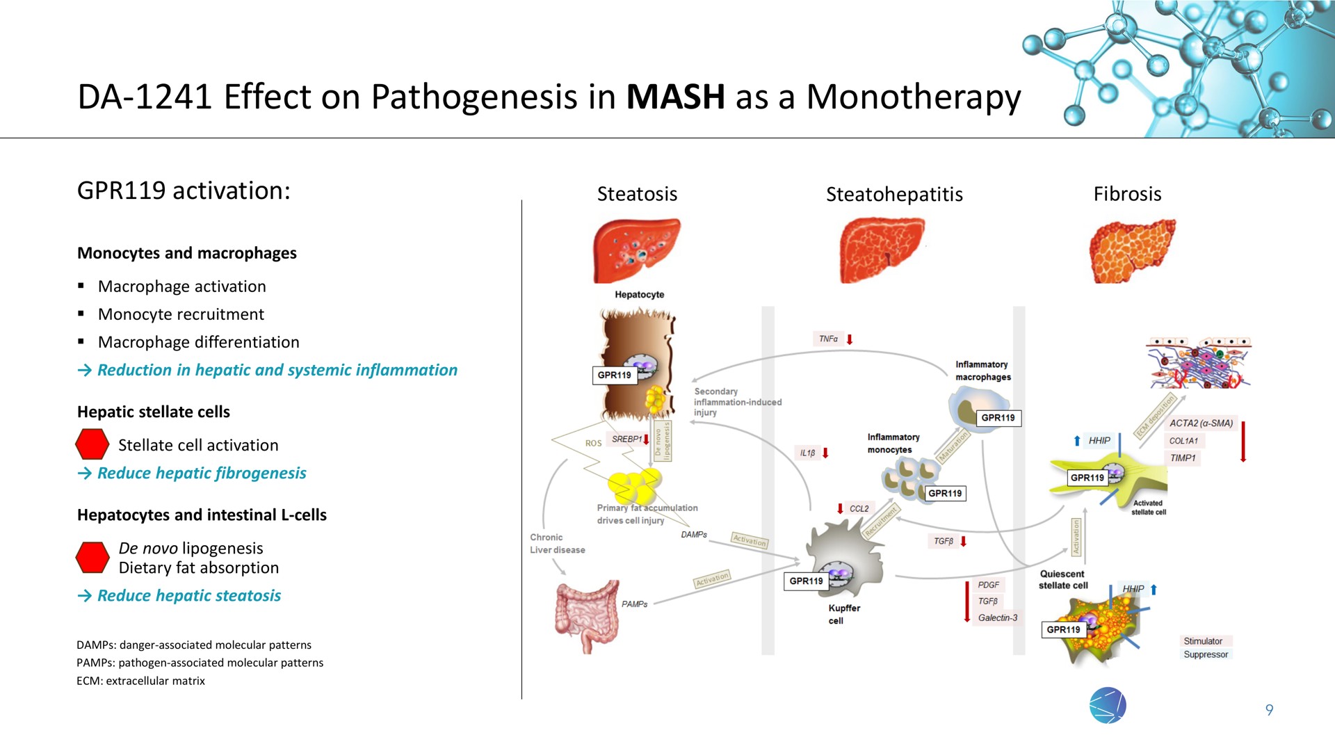 effect on pathogenesis in mash as a | NeuroBo Pharmaceuticals