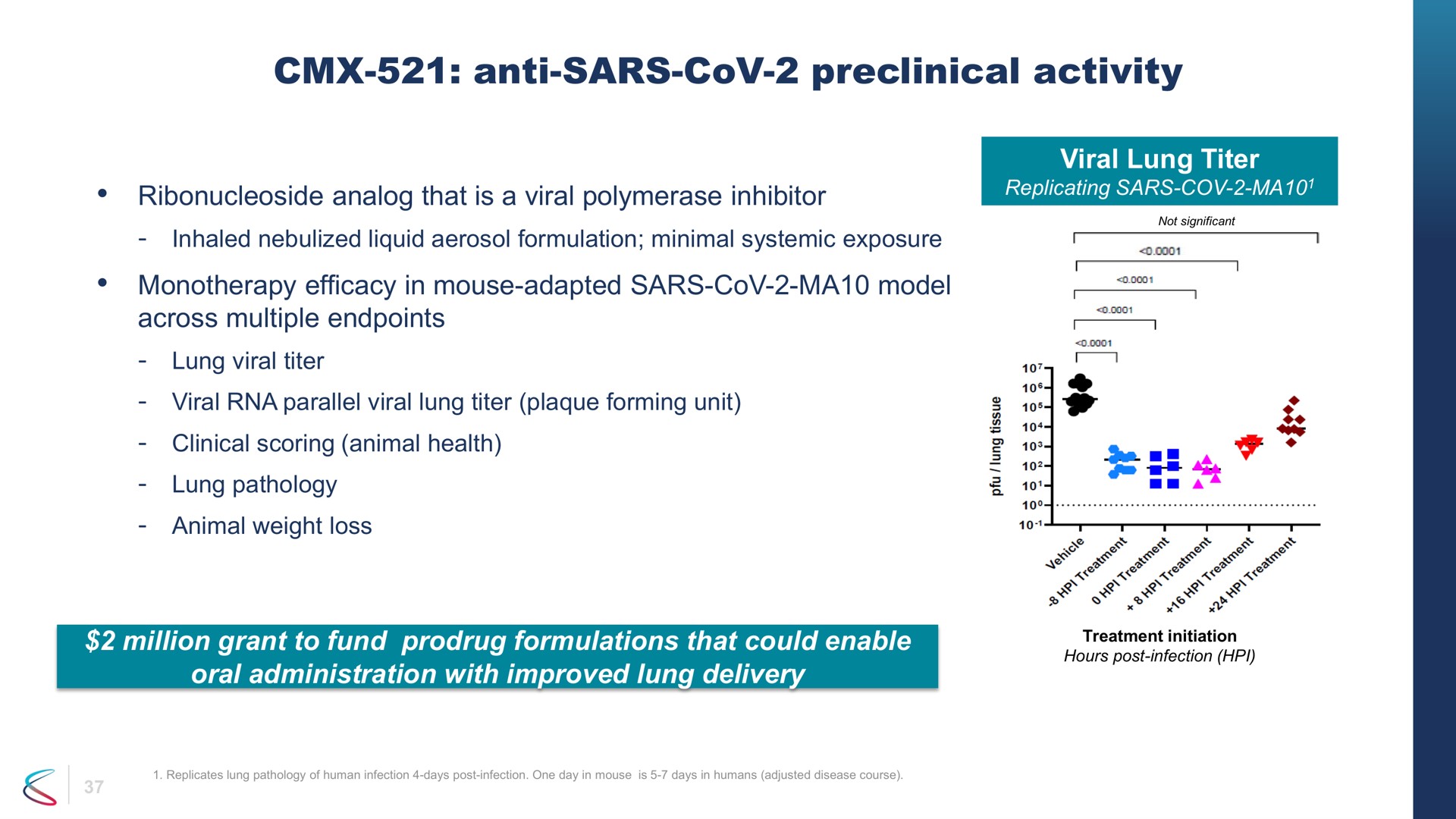 anti preclinical activity that is a viral inhibitor replicating | Chimerix