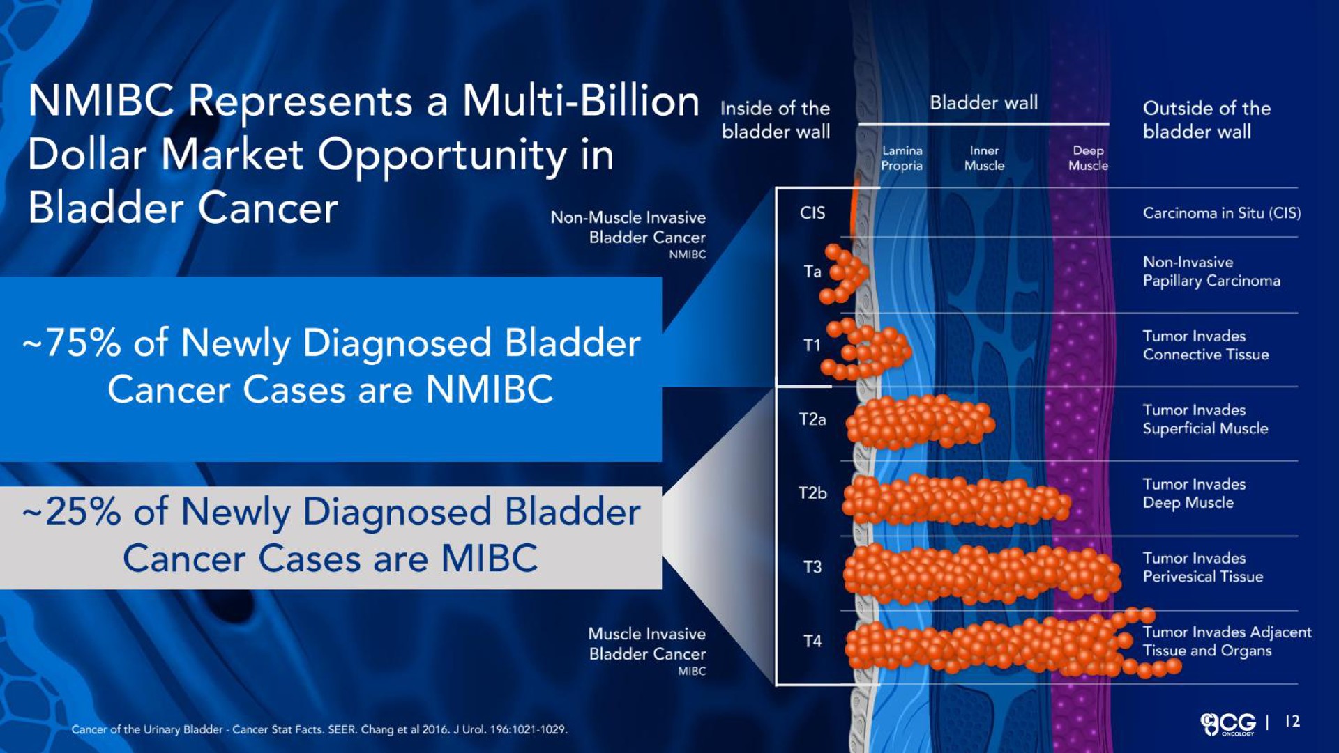 represents a billion the dollar market opportunity in bladder cancer a a of newly diagnosed bladder cancer cases are of newly diagnosed bladder cancer cases are sere eer a ses | CG Oncology