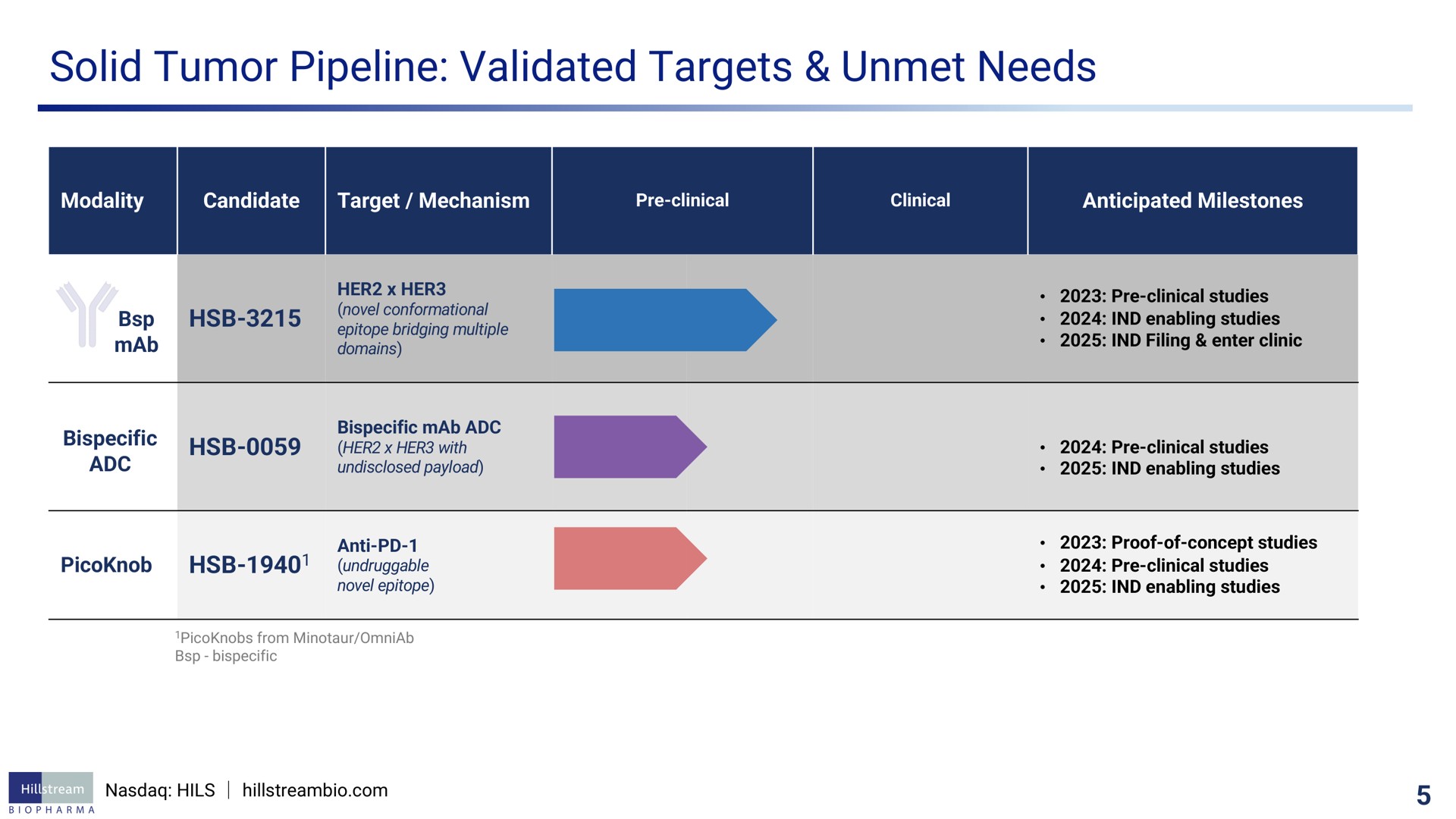 solid tumor pipeline validated targets unmet needs | Hillstream BioPharma
