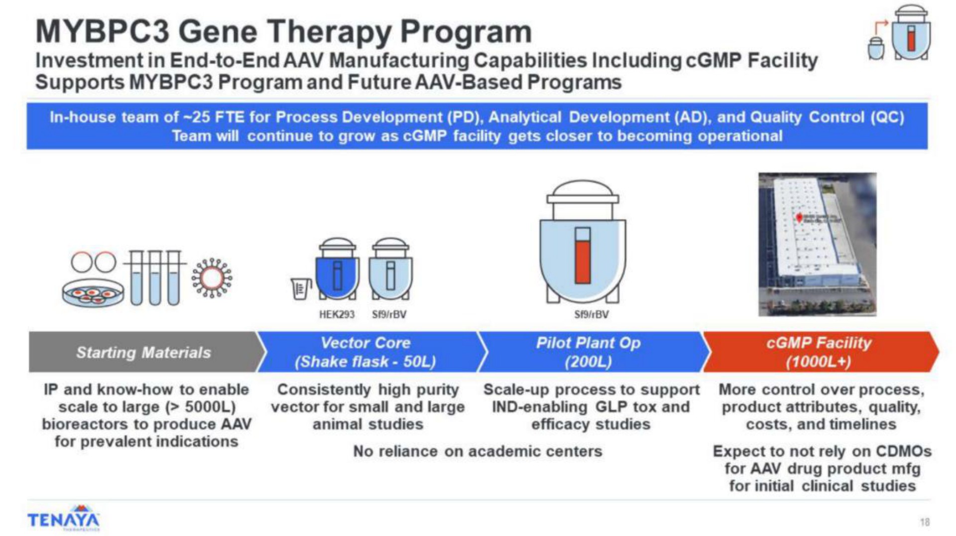 gene therapy program watt shake flask pie | Tenaya Therapeutics