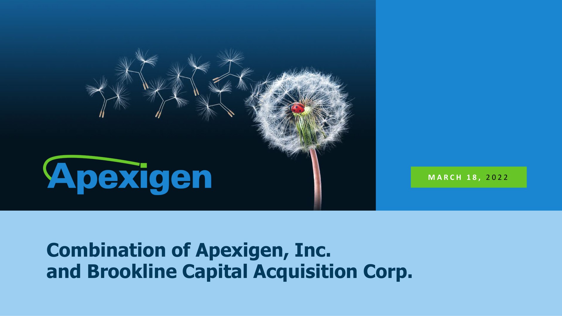 combination of and capital acquisition corp | Apexigen