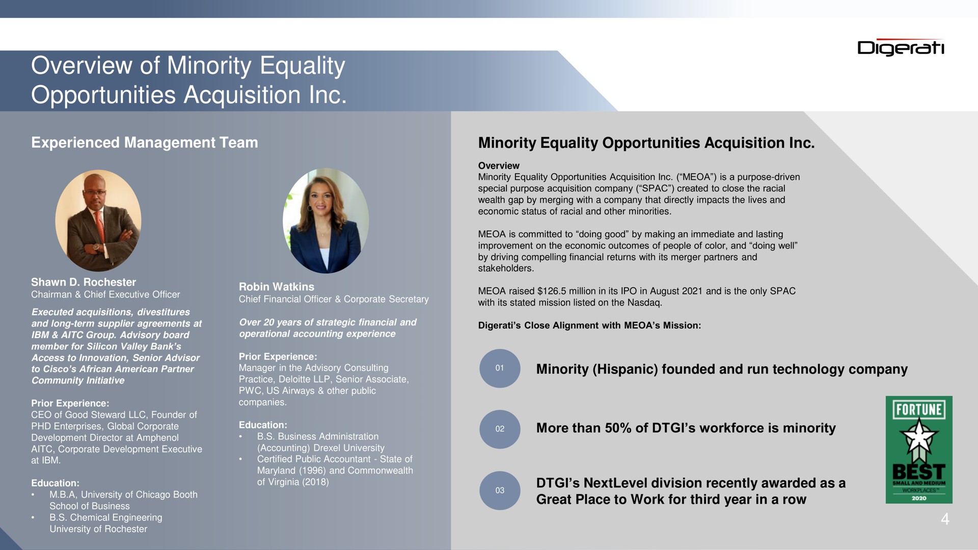 overview of minority equality opportunities acquisition | Digerati