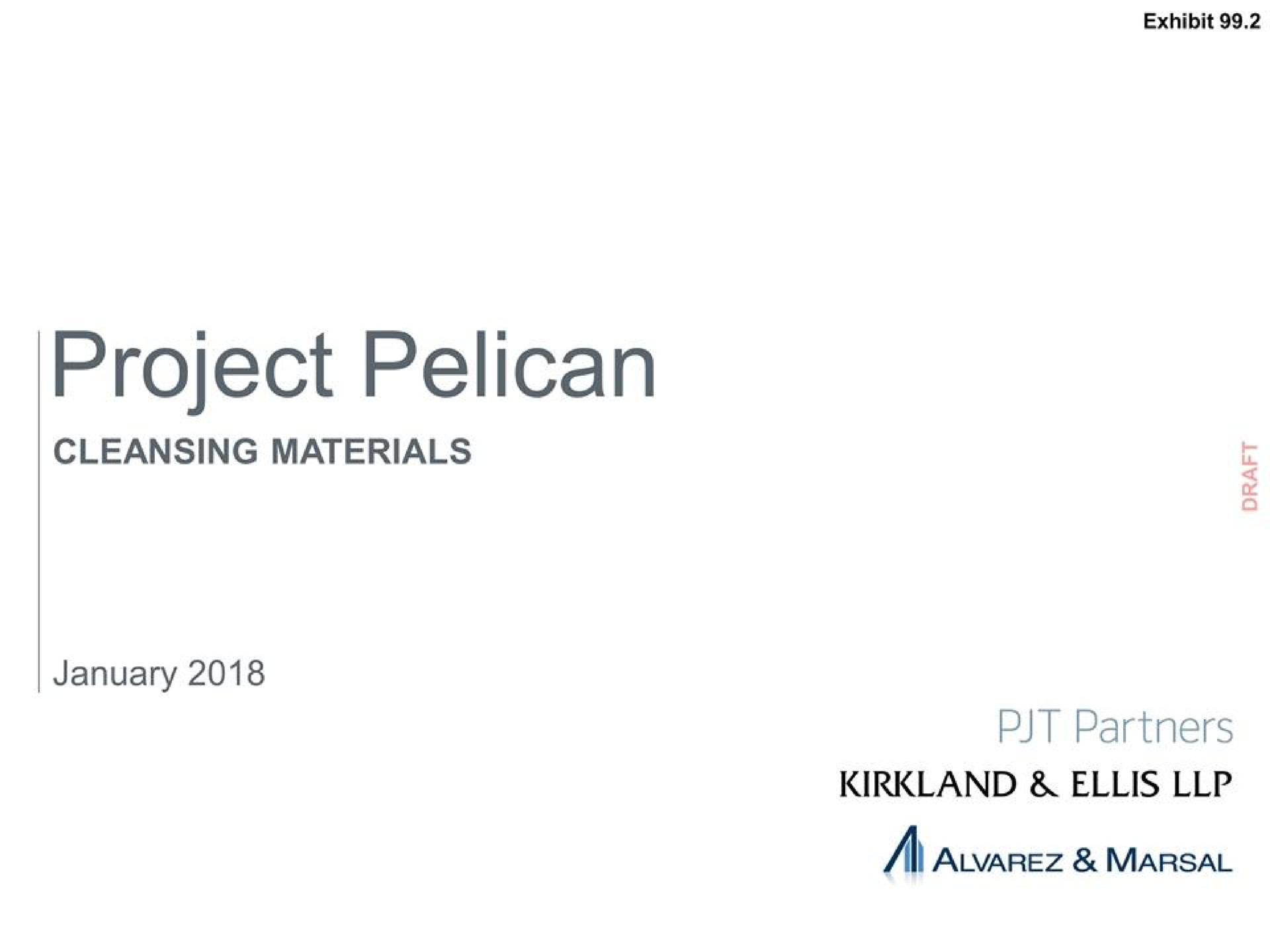 project pelican cleansing materials partners a | PJT Partners