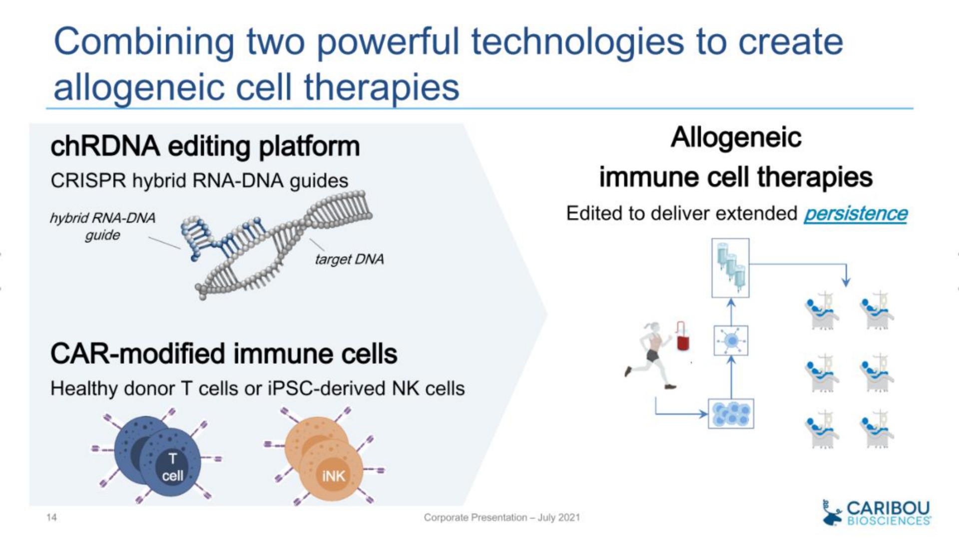 combining two powerful technologies to create cell therapies car modified immune cells rie | Caribou Biosciences