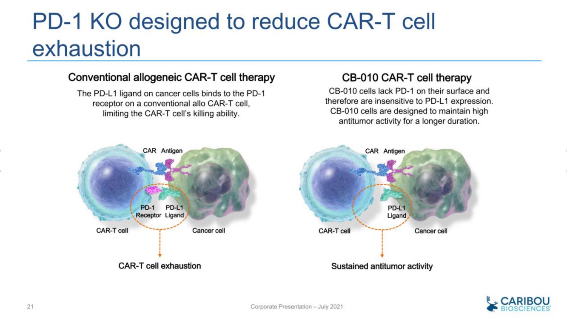 designed to reduce car cell exhaustion | Caribou Biosciences
