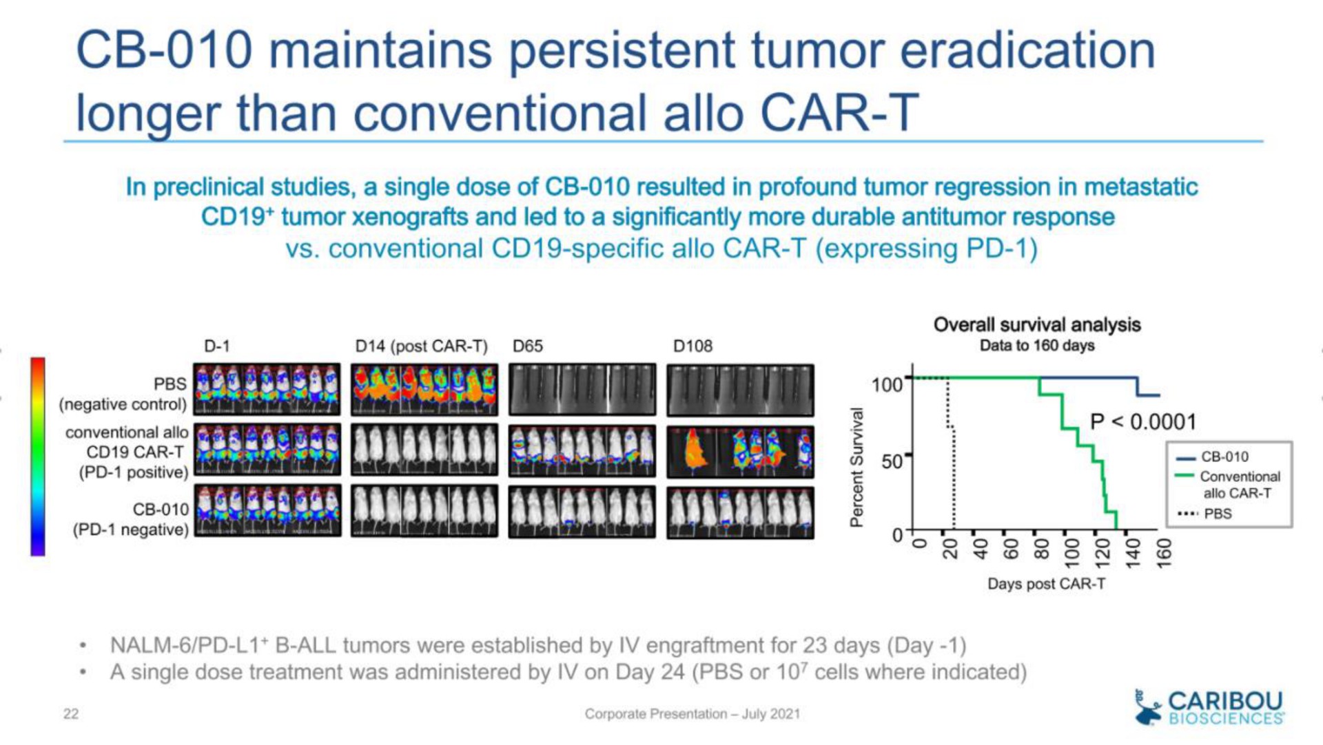 maintains persistent tumor eradication longer than conventional car be caribou | Caribou Biosciences