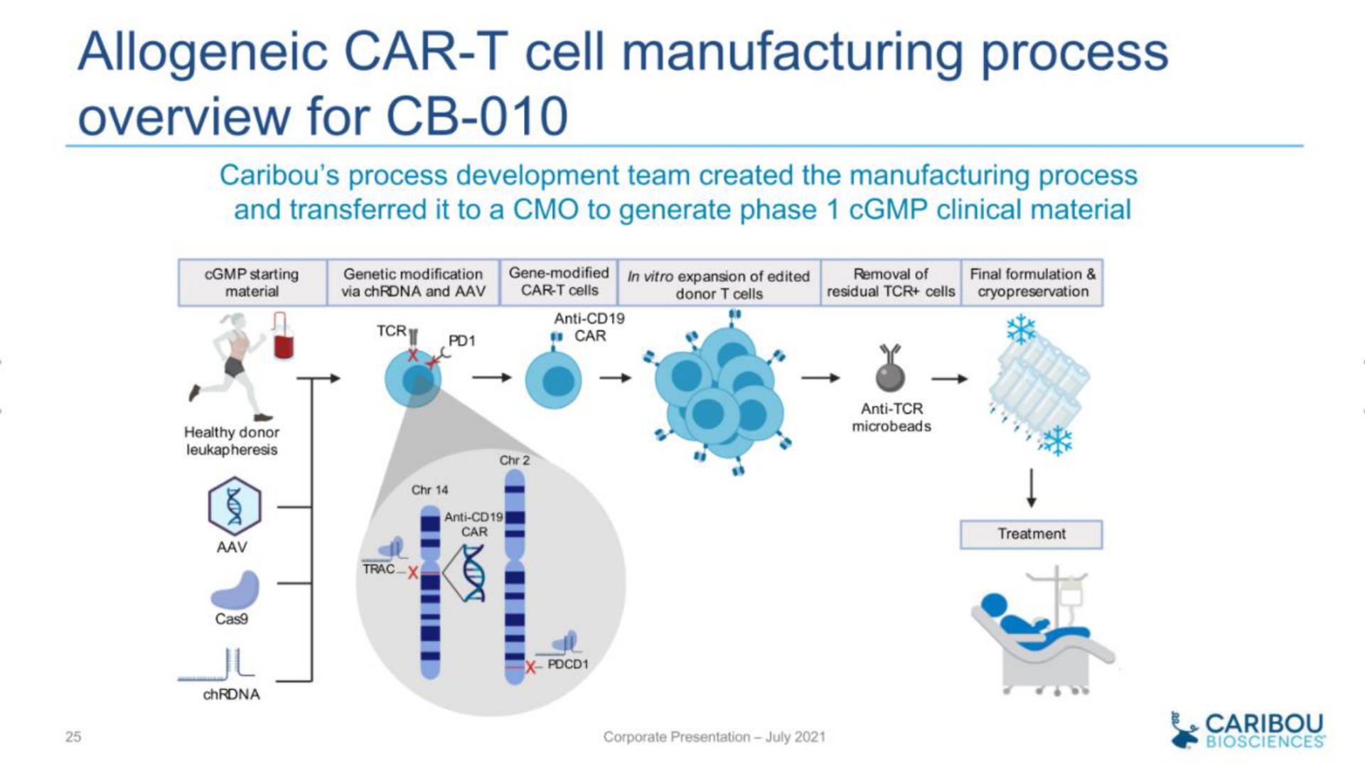 car cell manufacturing process overview for | Caribou Biosciences