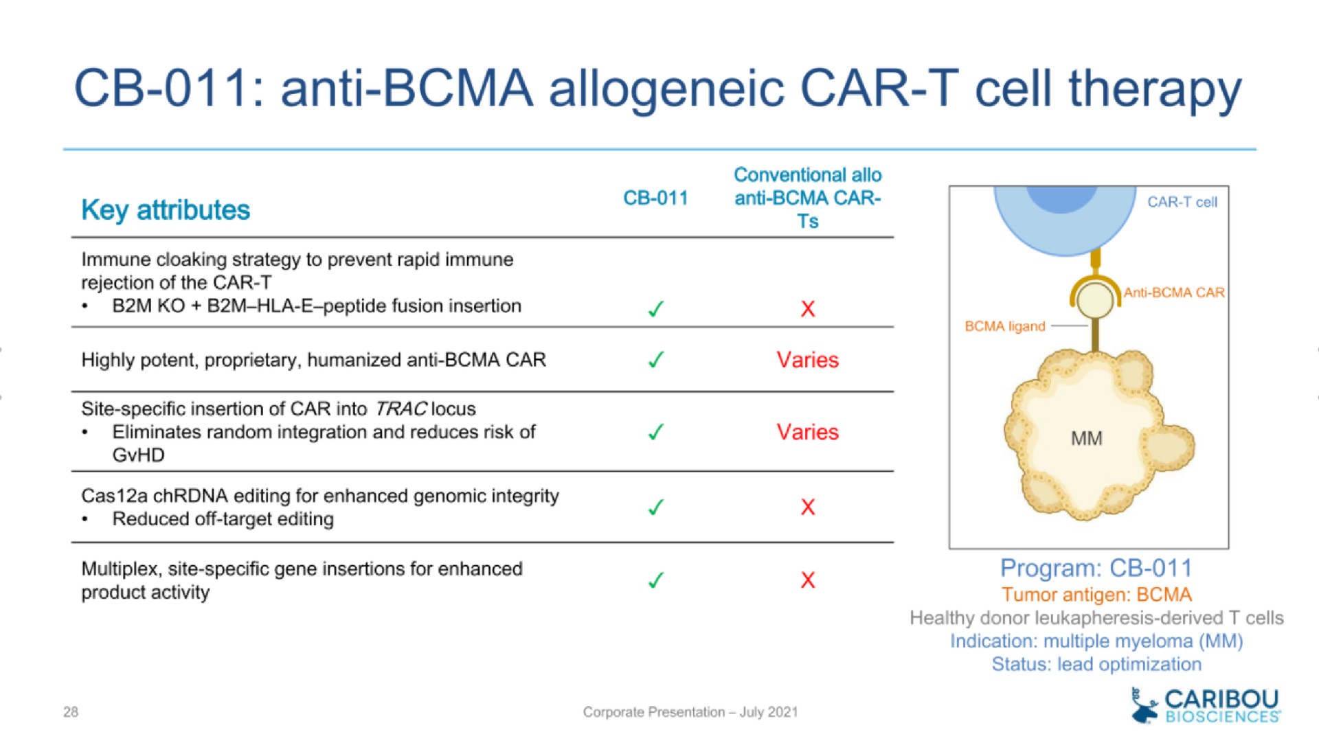 anti car cell therapy | Caribou Biosciences