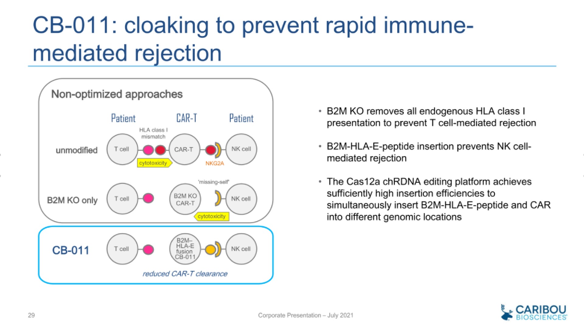 cloaking to prevent rapid immune mediated rejection | Caribou Biosciences