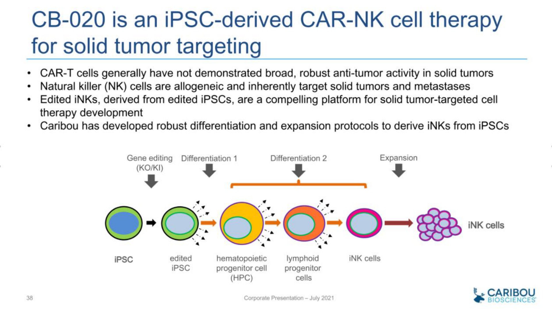 is an derived car cell therapy for solid tumor targeting | Caribou Biosciences