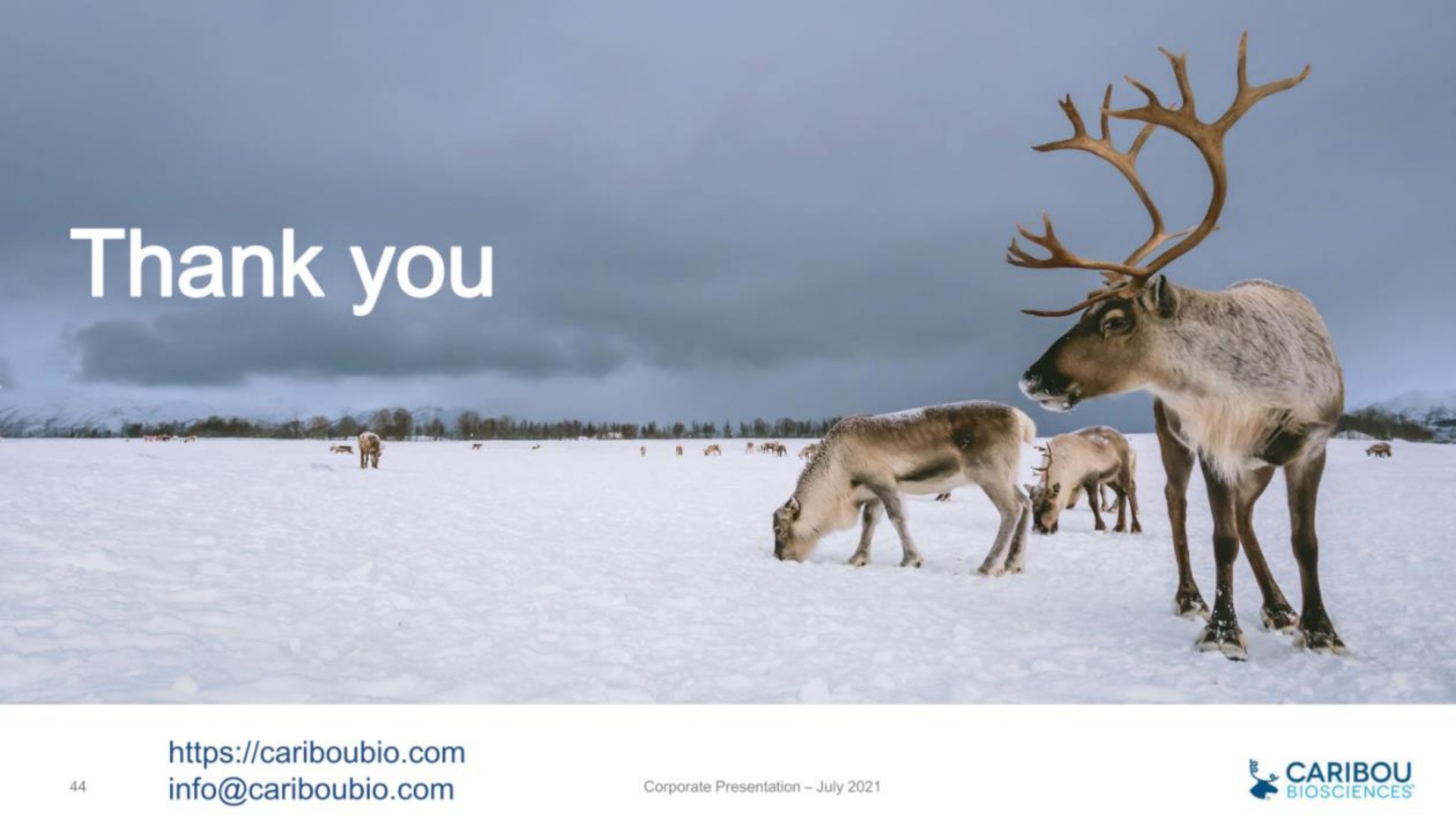 a thank you | Caribou Biosciences