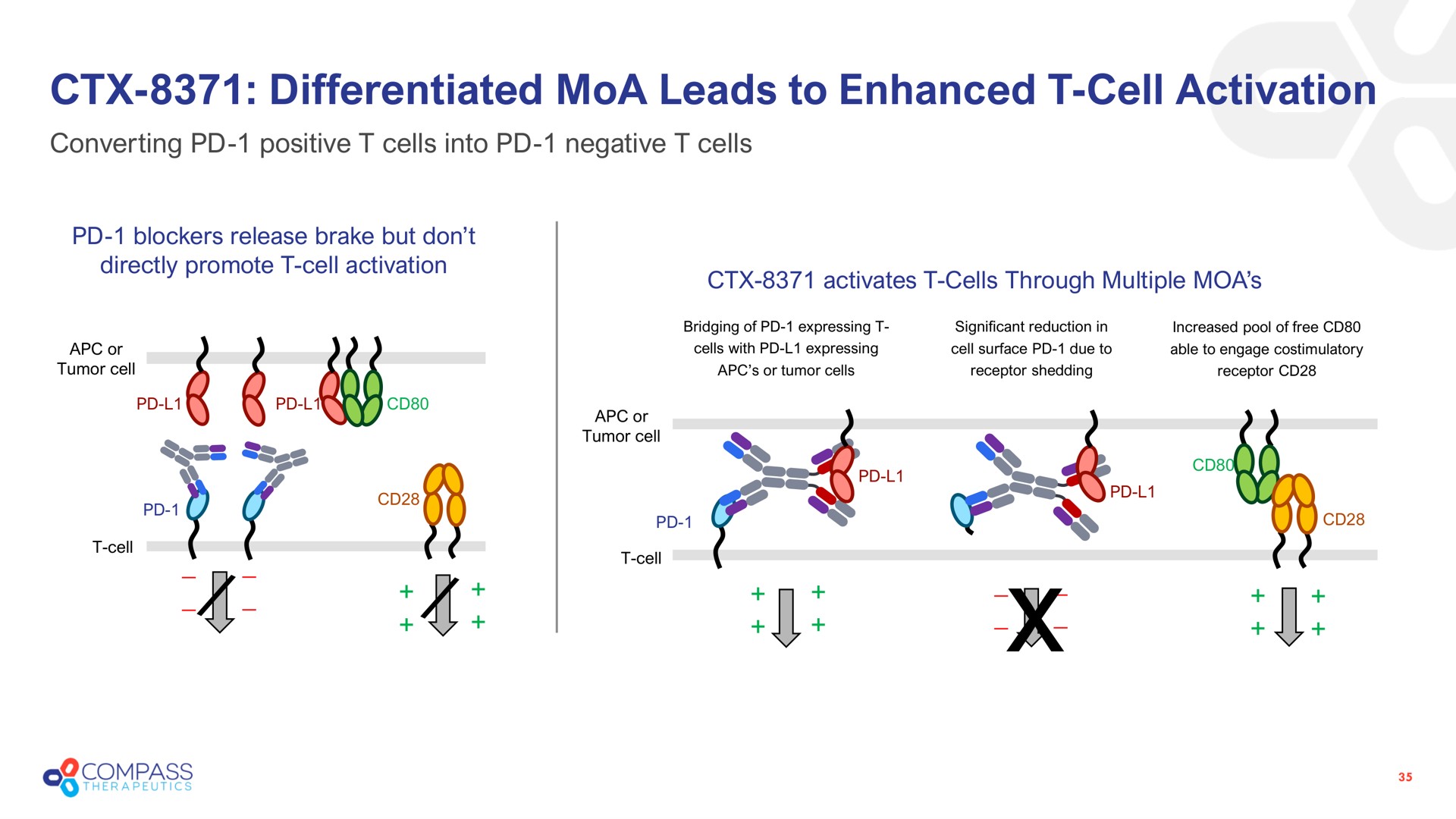 differentiated leads to enhanced cell activation activates cells through multiple | Compass Therapeutics