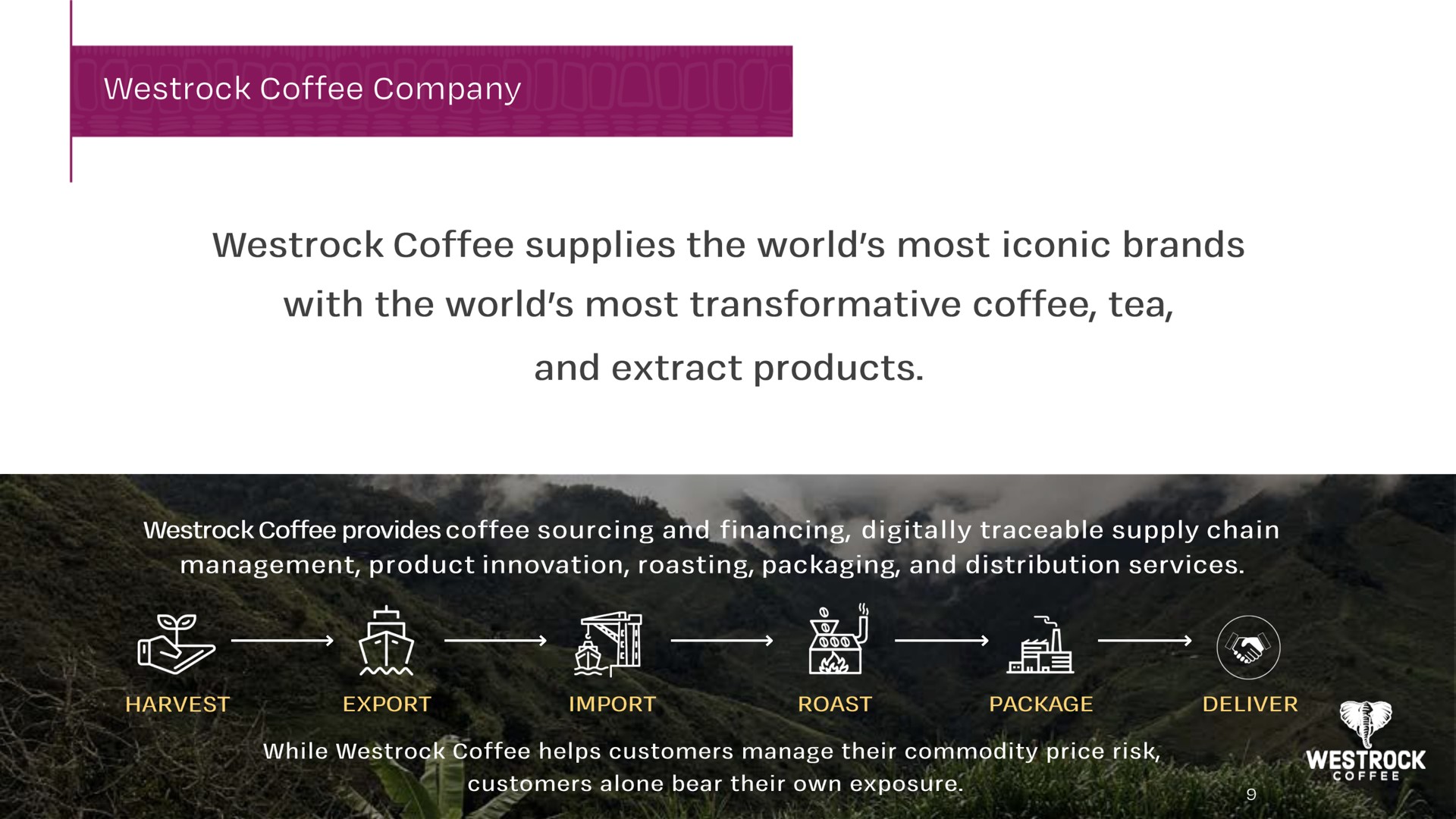 coffee company coffee supplies the world most iconic brands with the world most transformative coffee tea and extract products a | Westrock Coffee