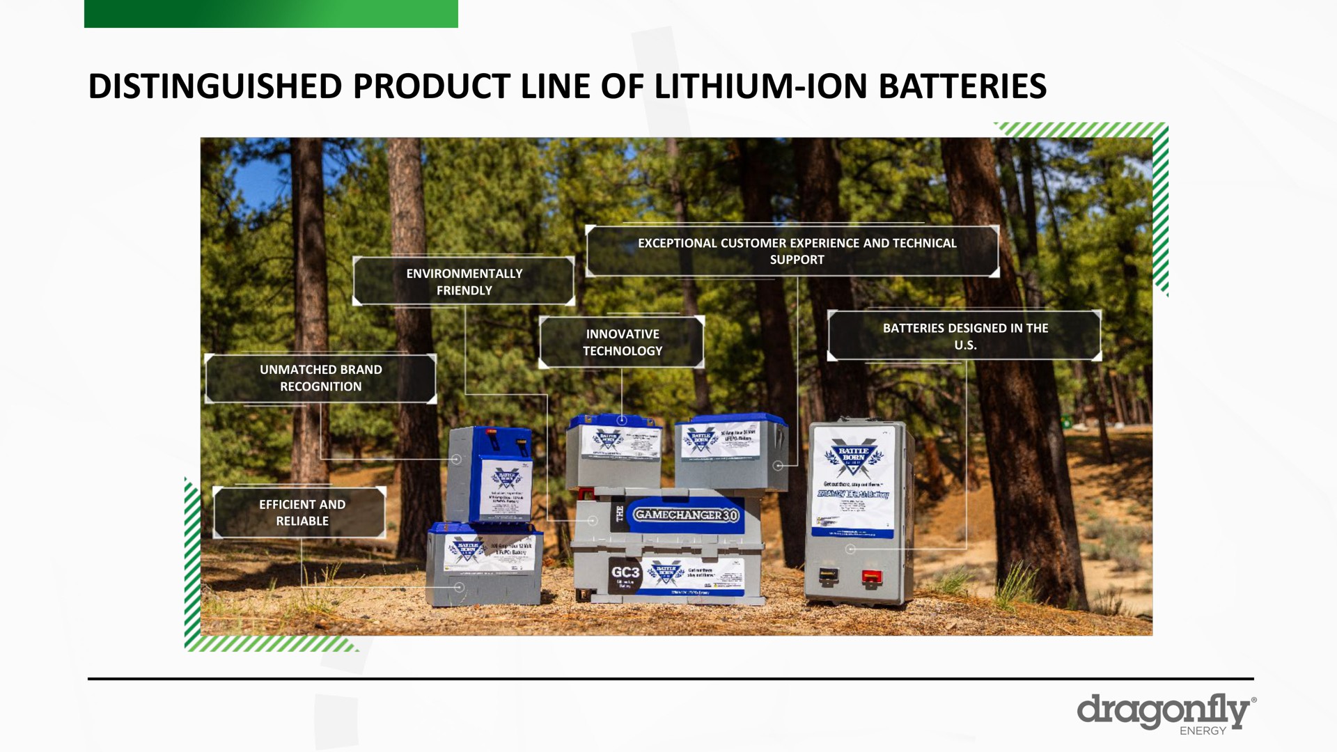distinguished product line of lithium ion batteries dragonfly | Dragonfly Energy