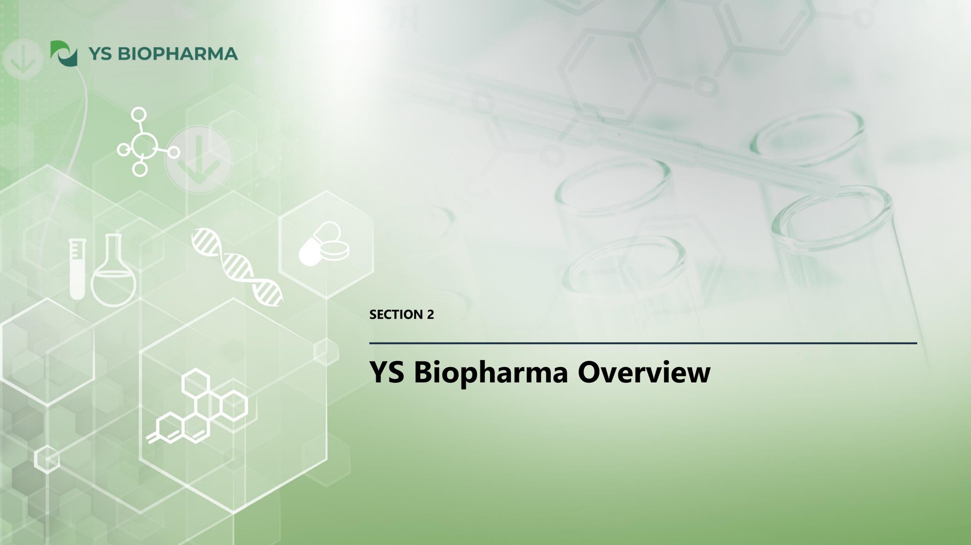 overview | YS Biopharma