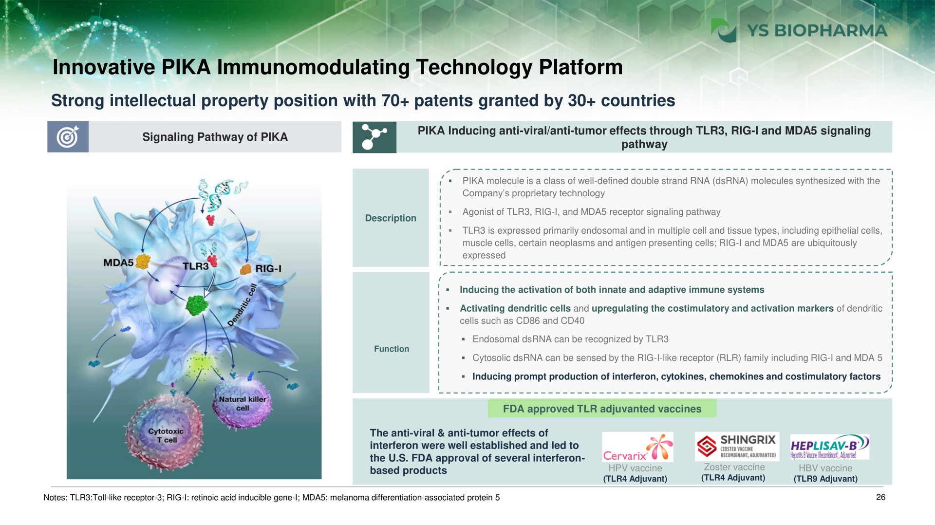 innovative pika technology platform strong intellectual property position with patents granted by countries pik a | YS Biopharma