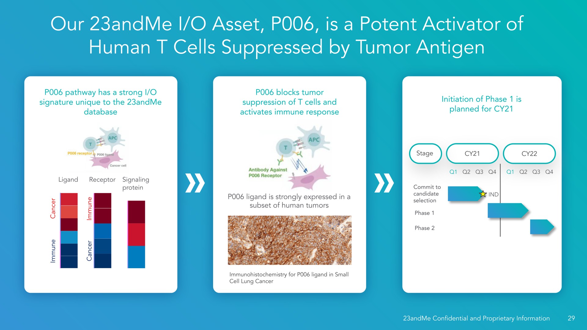 our i asset is a potent activator of human cells suppressed by tumor antigen a | 23andMe