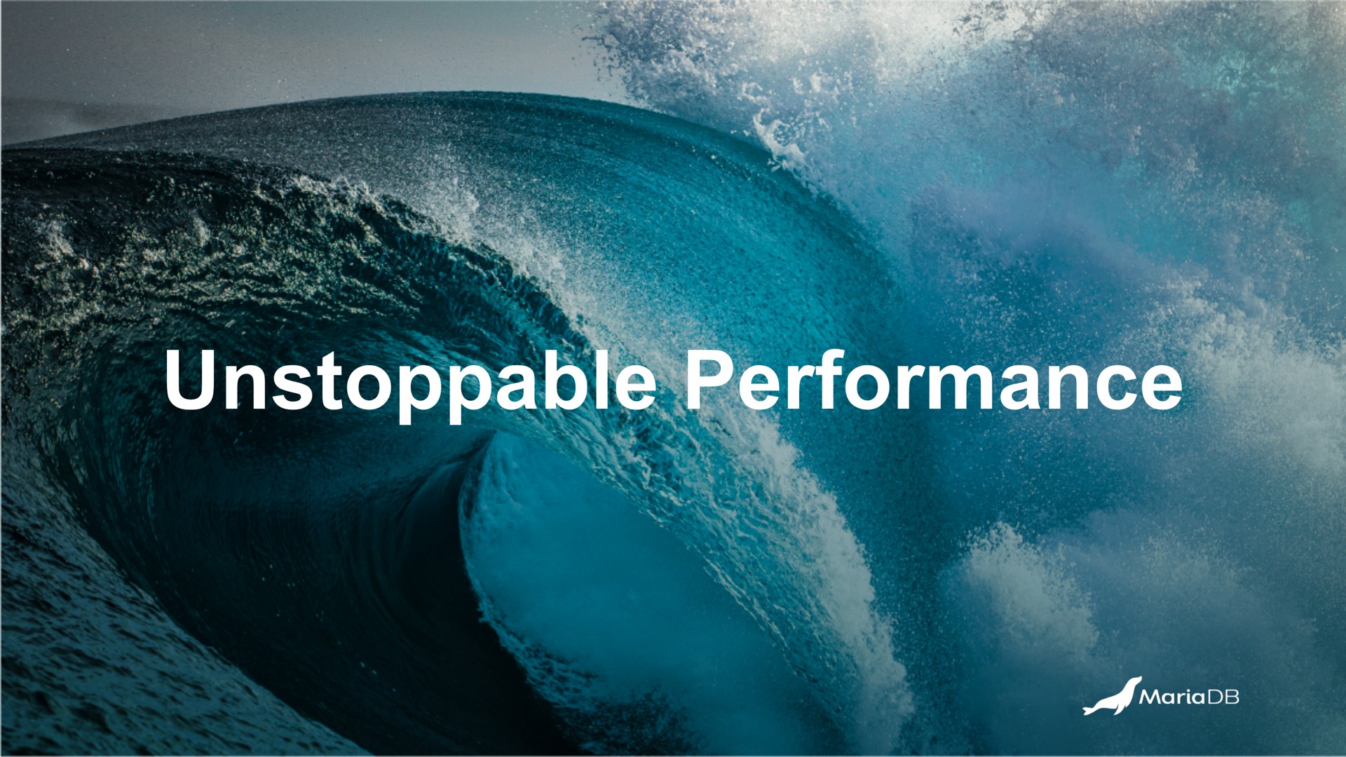 unstoppable performance | MariaDB