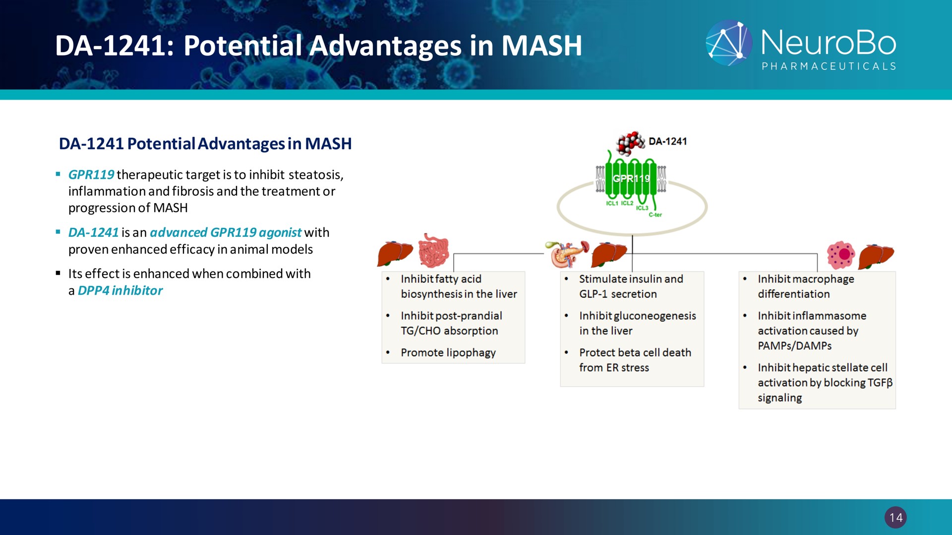 potential advantages in mash | NeuroBo Pharmaceuticals