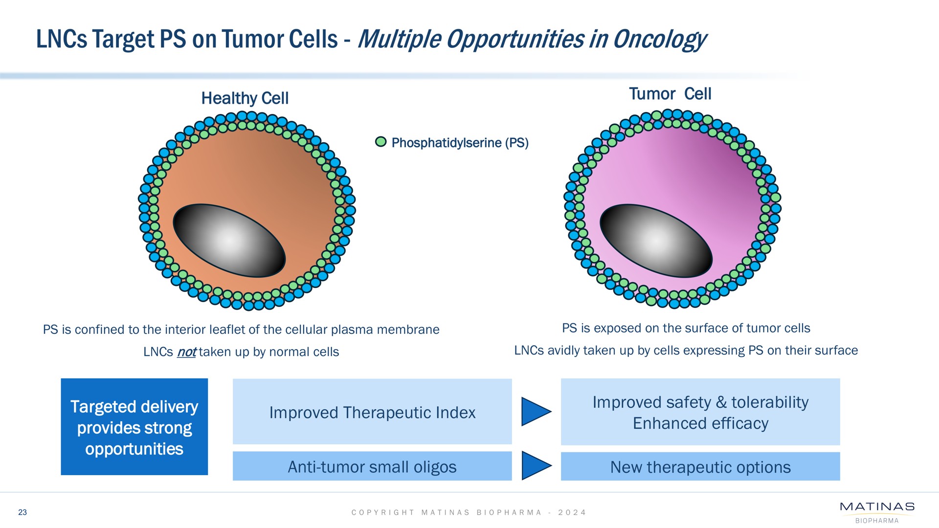 target on tumor cells multiple opportunities in oncology tiple improved therapeutic index efficacy | Matinas BioPharma