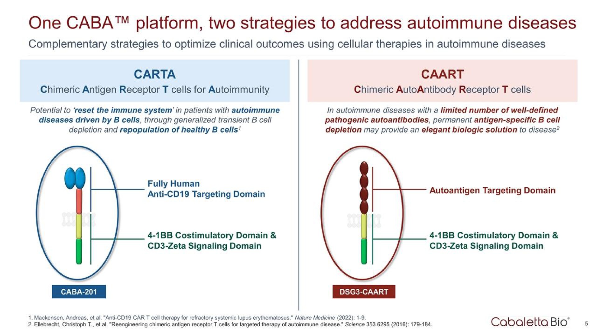 one caba platform two strategies to address diseases | Cabaletta Bio