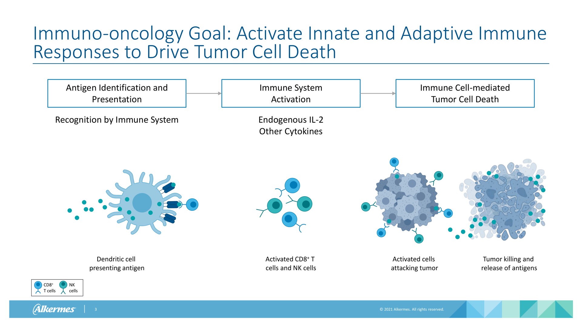oncology goal activate innate and adaptive immune responses to drive tumor cell death antigen identification and presentation recognition by immune system immune system activation endogenous other immune cell mediated tumor cell death dendritic cell presenting antigen activated cells and cells activated cells attacking tumor tumor killing and release of antigens cells cells aes | Alkermes