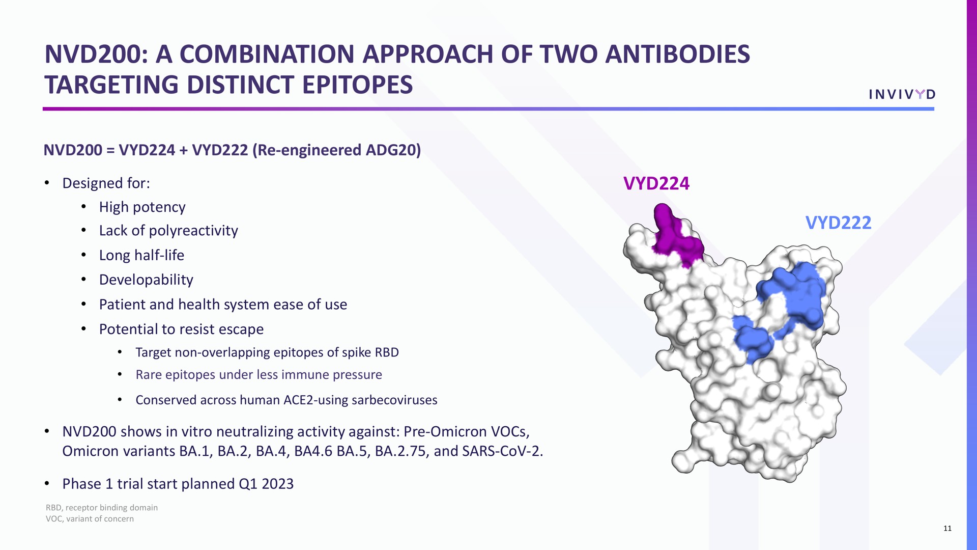 a combination approach of two antibodies targeting distinct | Adagio Therapeutics