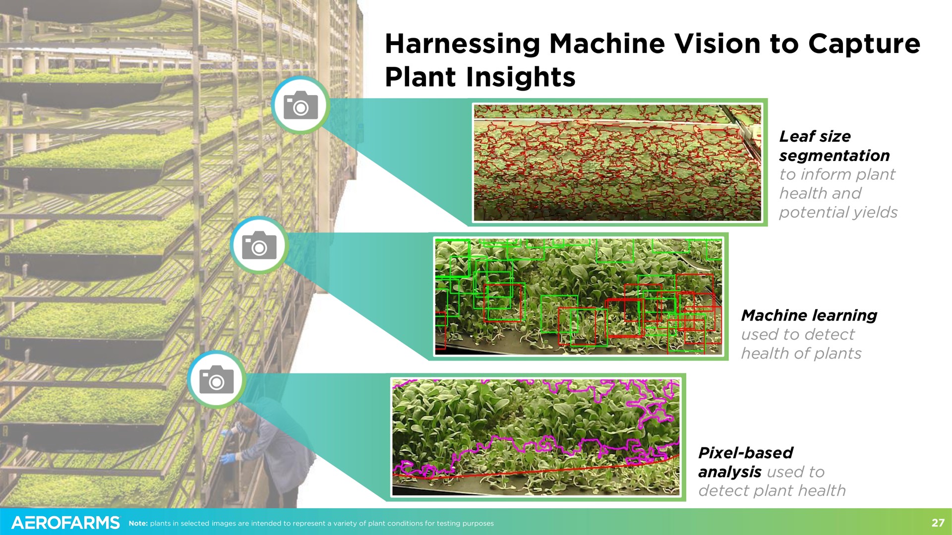 harnessing machine vision to capture plant insights | AeroFarms