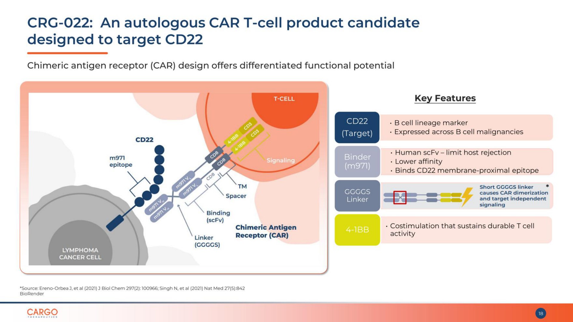 an autologous car cell product candidate designed to target | CARGO Therapeutics