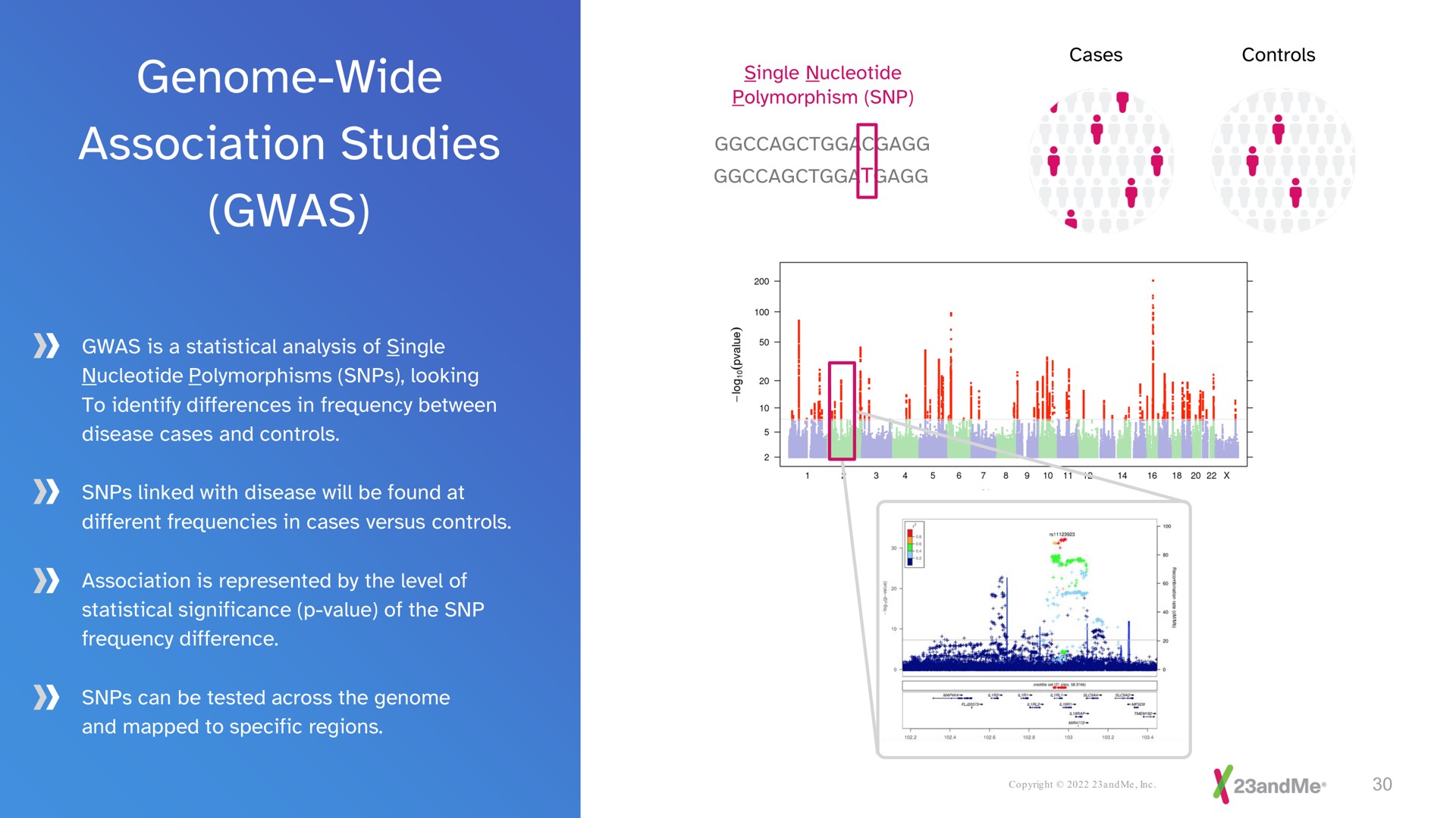 genome wide association studies | 23andMe