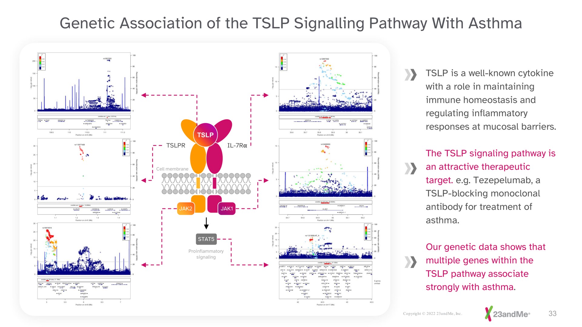 genetic association of the signalling pathway with asthma | 23andMe