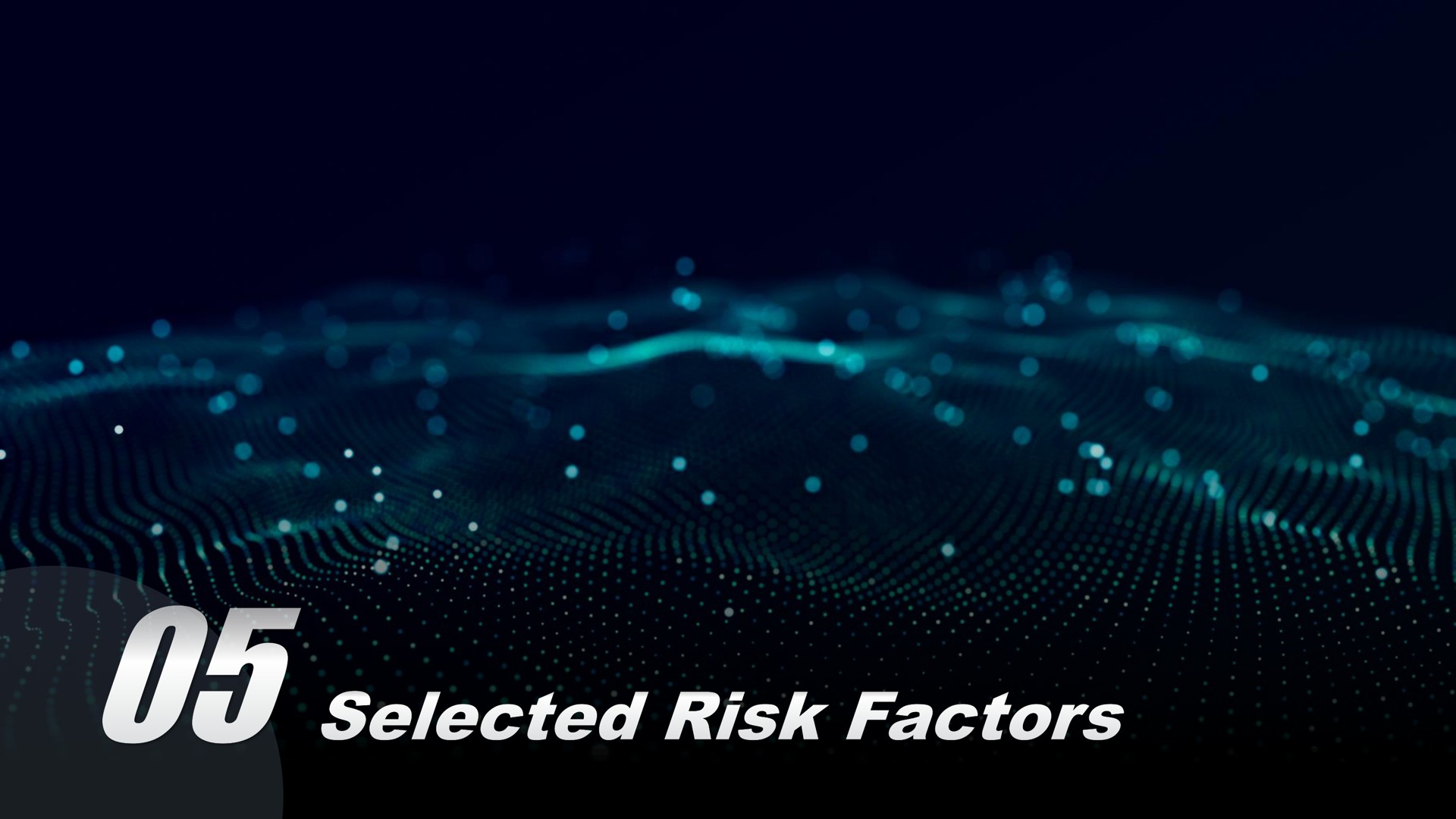 selected risk factors | Ecarx