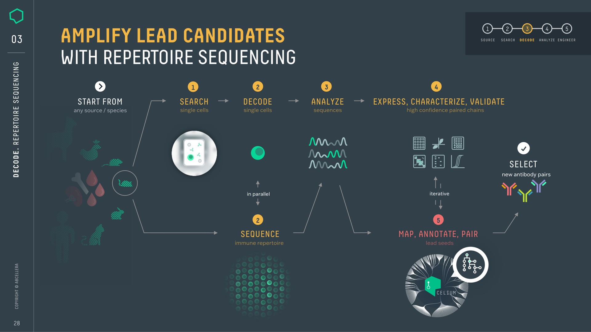 amplify lead candidates with repertoire sequencing | AbCellera