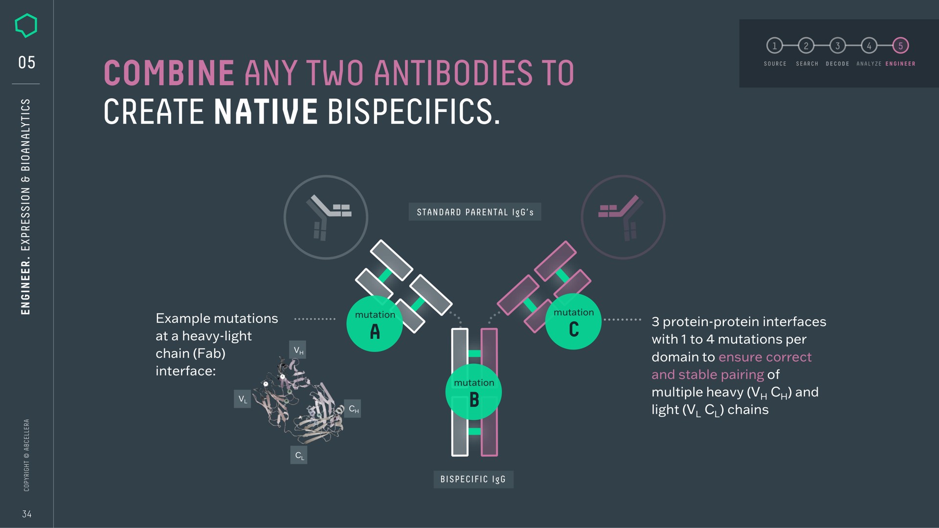 combine any two antibodies to create native a aes | AbCellera