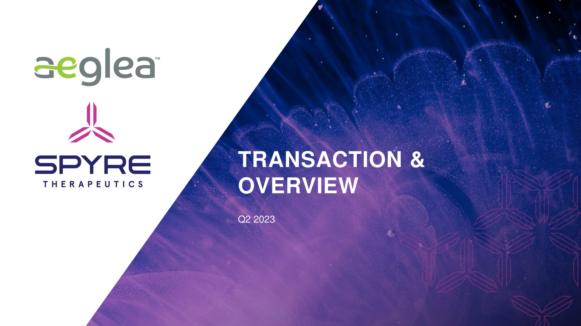 transaction overview ans | Aeglea BioTherapeutics