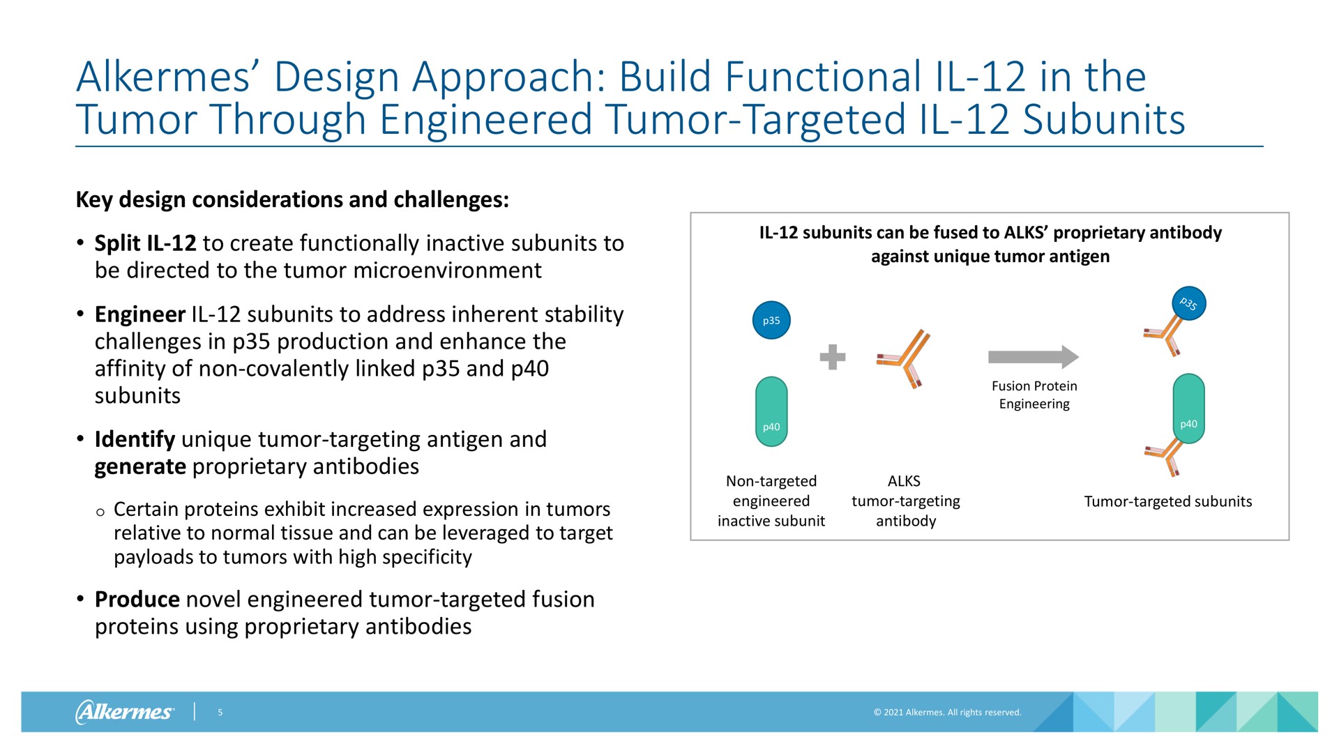 alkermes design approach build functional in the tumor through engineered tumor targeted subunits key design considerations and challenges split to create functionally inactive subunits to be directed to the tumor engineer subunits to address inherent stability challenges in production and enhance the affinity of non linked and subunits identify unique tumor targeting antigen and generate proprietary antibodies certain proteins exhibit increased expression in tumors relative to normal tissue and can be leveraged to target to tumors with high specificity produce novel engineered tumor targeted fusion proteins using proprietary antibodies subunits can be fused to proprietary antibody against unique tumor antigen fusion protein engineering non targeted engineered inactive subunit tumor targeting antibody tumor targeted subunits | Alkermes