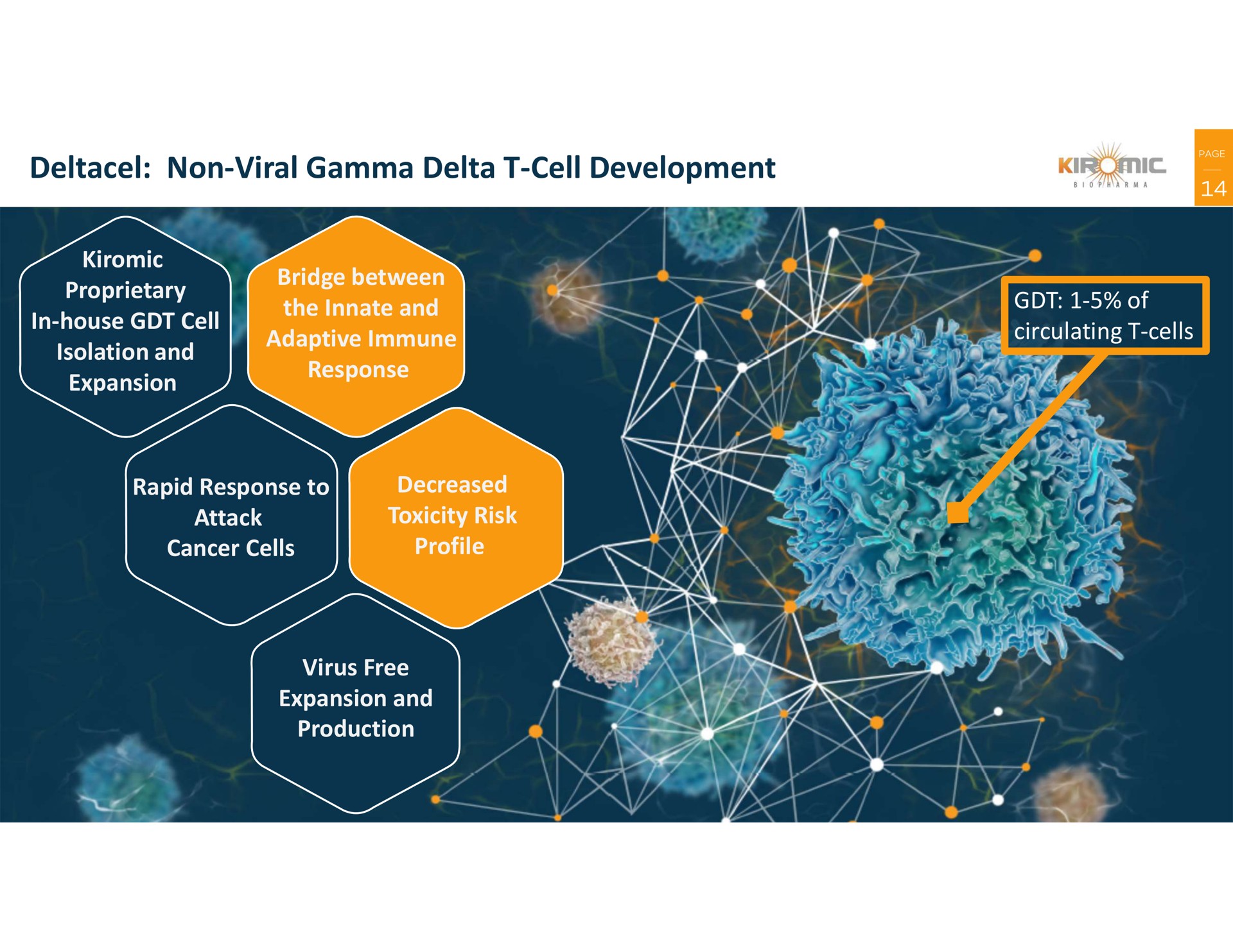non viral gamma delta cell development | Kiromic BioPharma