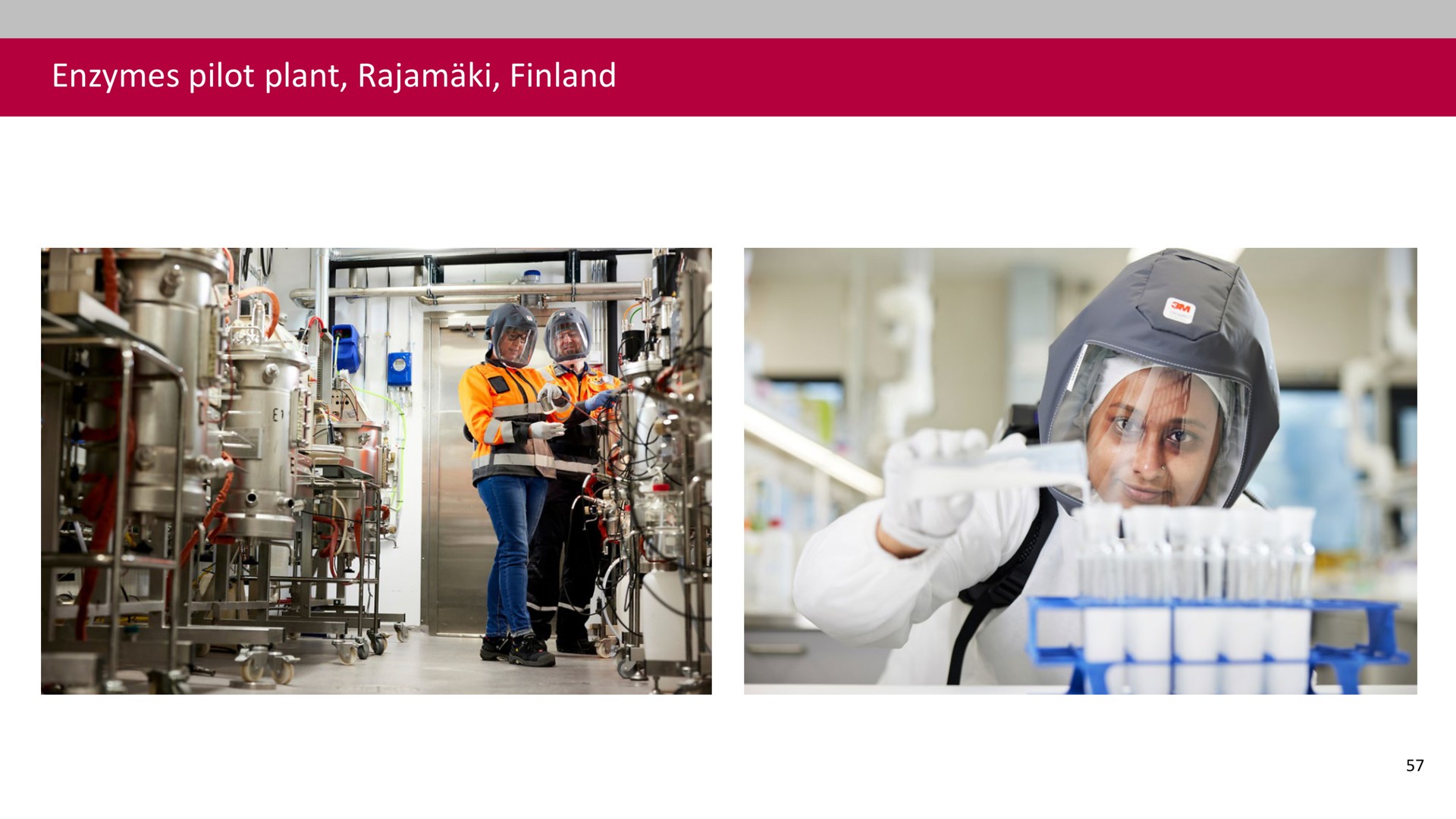enzymes pilot plant finland | Associated British Foods