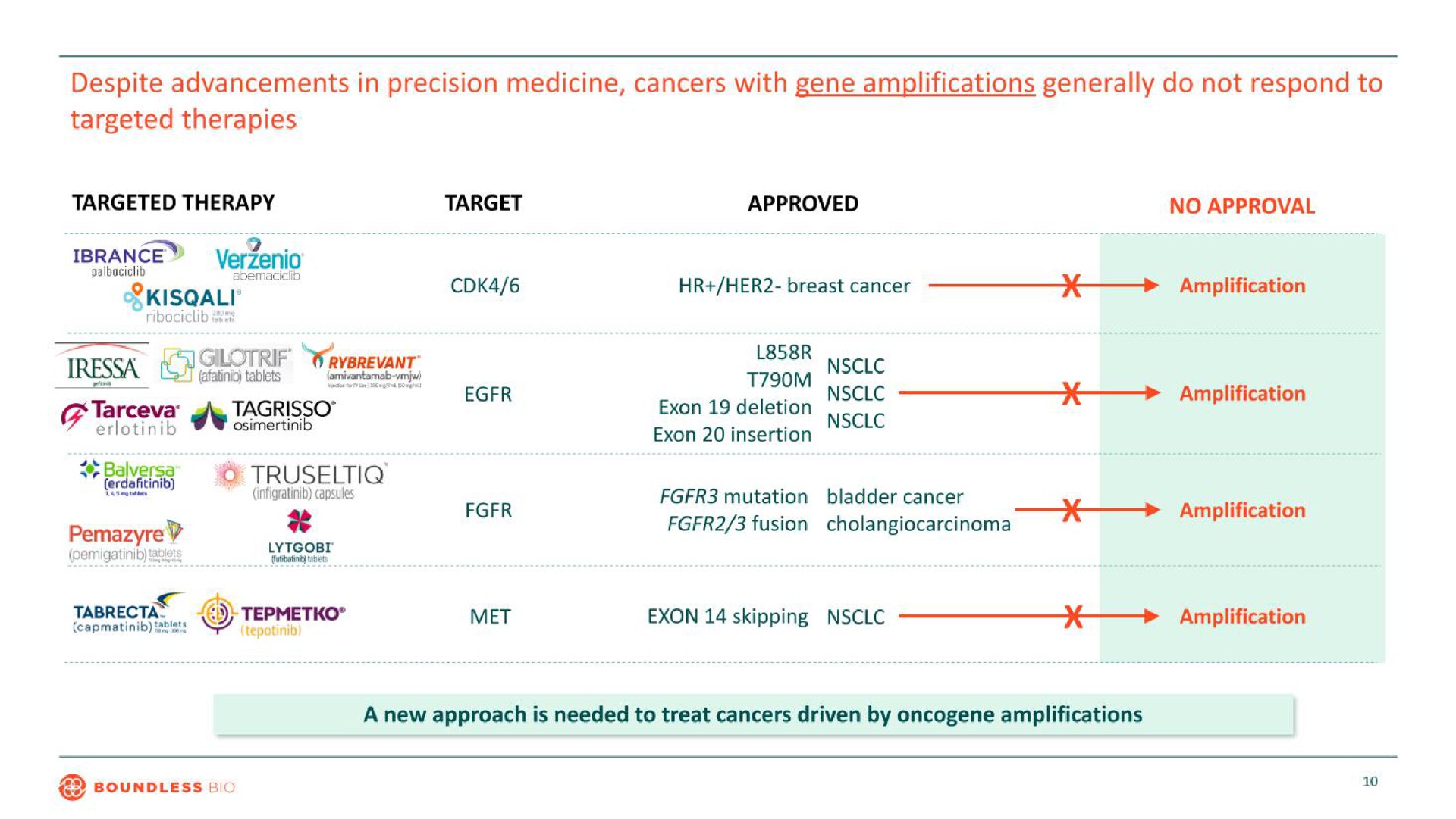 despite advancements in precision medicine targeted therapies cancers with gene amplifications generally do not respond to lot | Boundless Bio