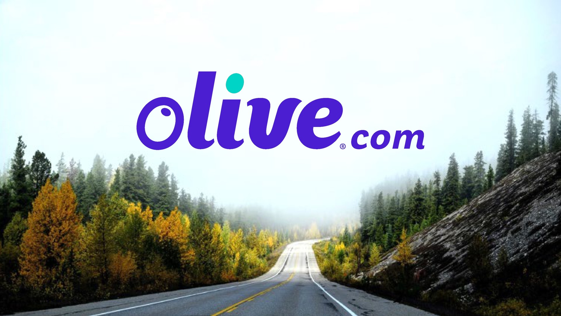  | Olive.com