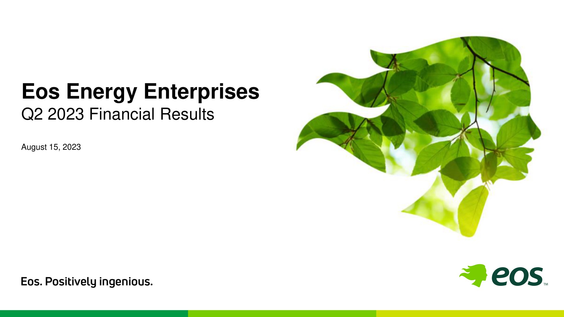 energy enterprises financial results | Eos Energy