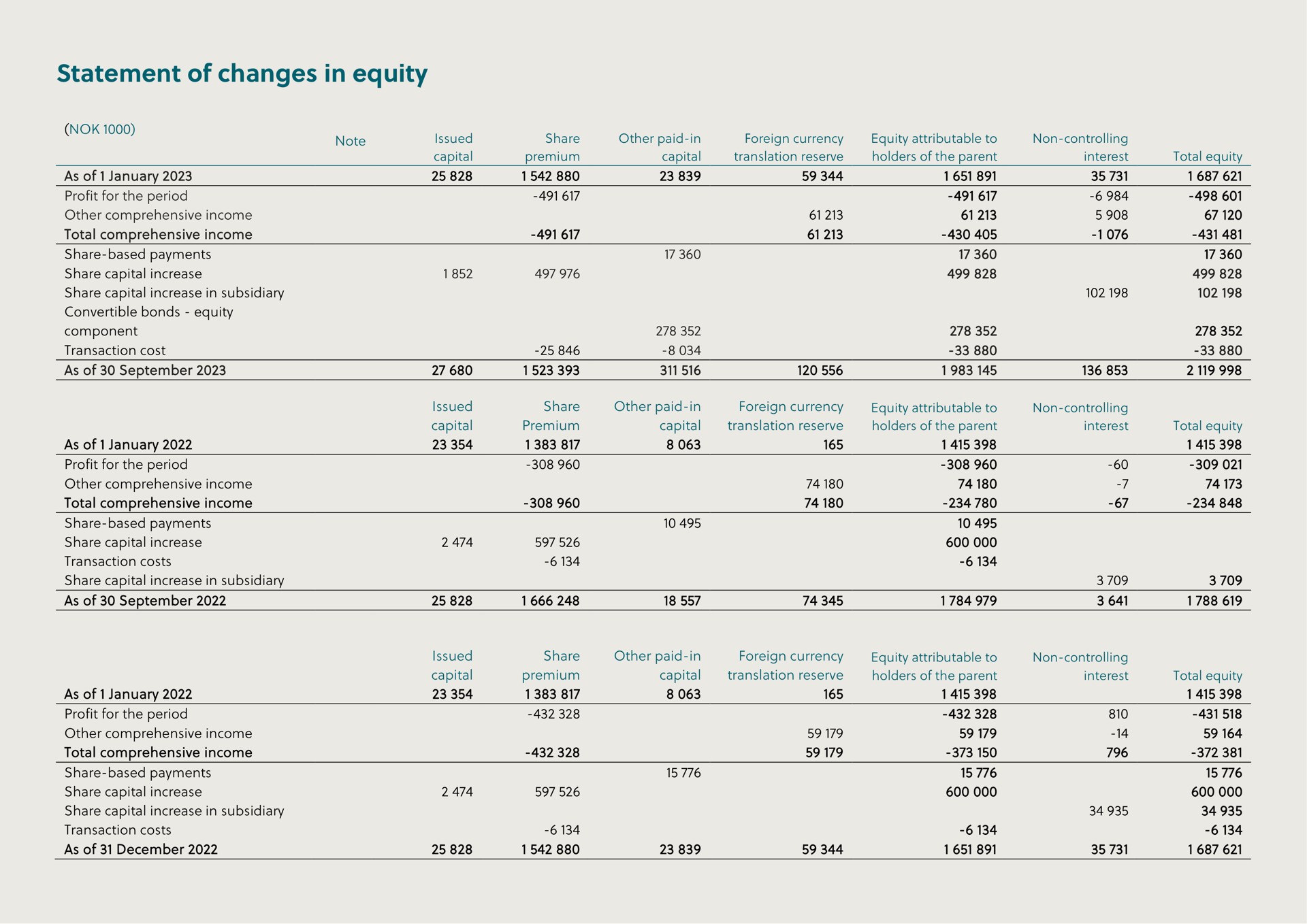 statement of changes in equity as total comprehensive income as | Hexagon Purus