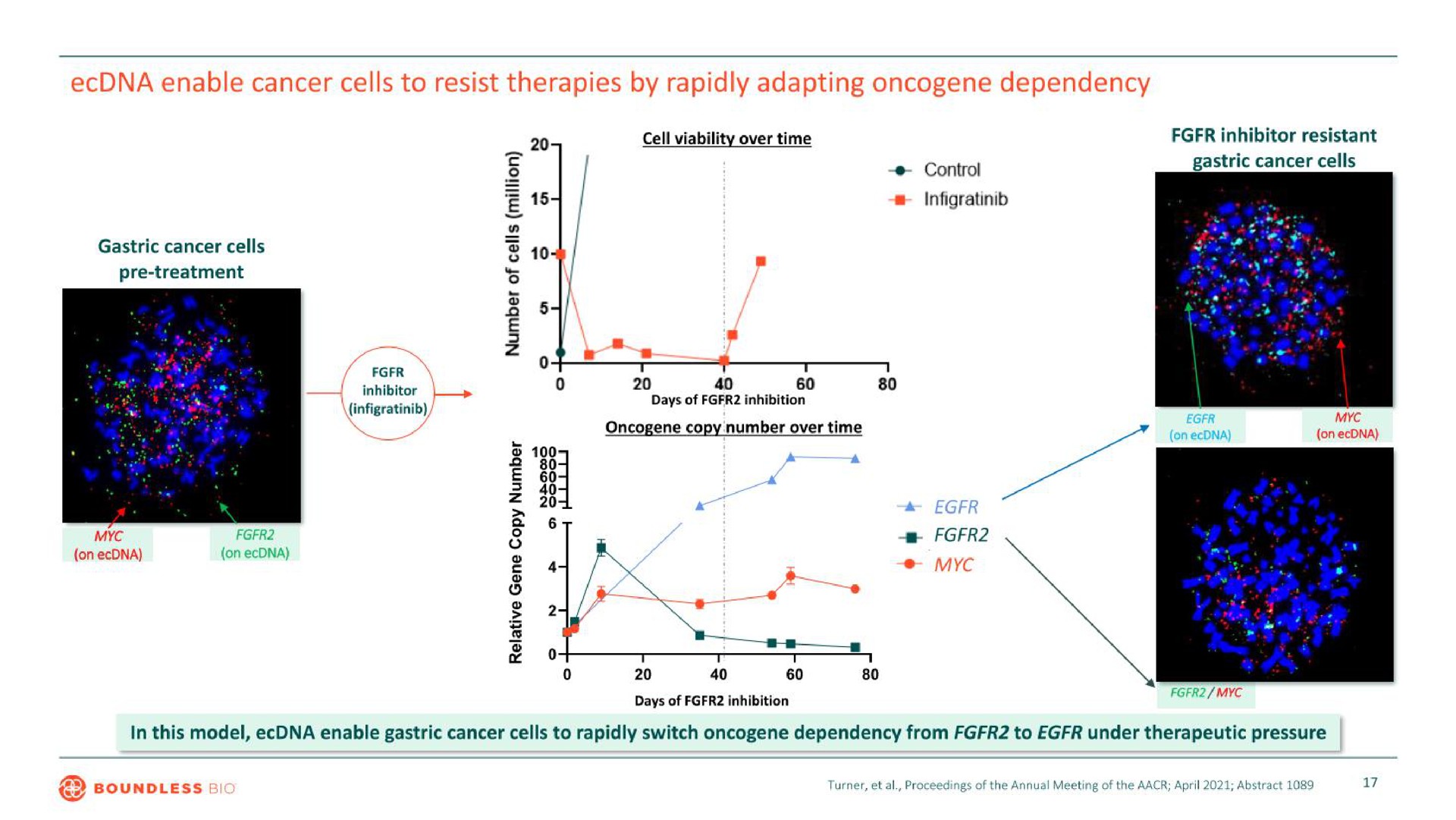 enable cancer cells to resist therapies by rapidly adapting dependency a rode | Boundless Bio