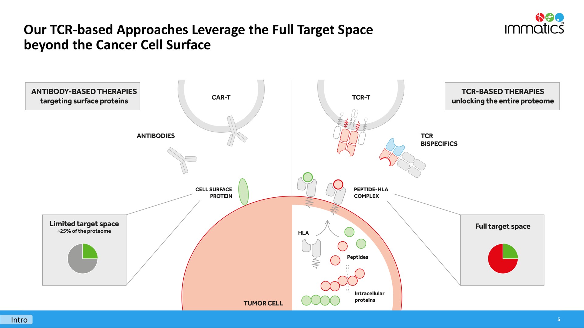 our based approaches leverage the full target space beyond the cancer cell surface so | Immatics